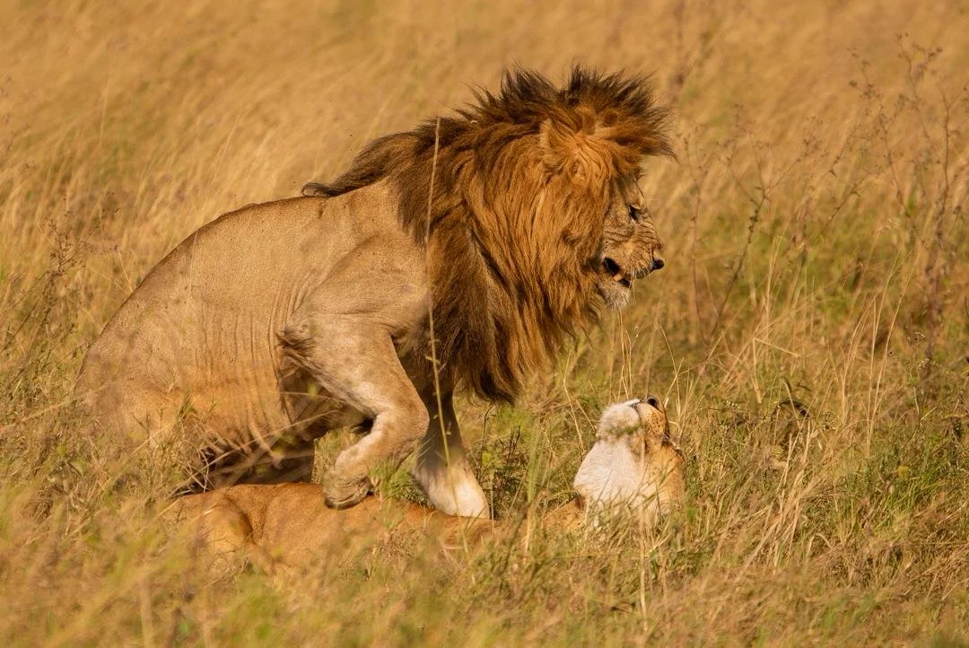 WhatsApp Image 2026-02-25 at 22.47.26.jpeg