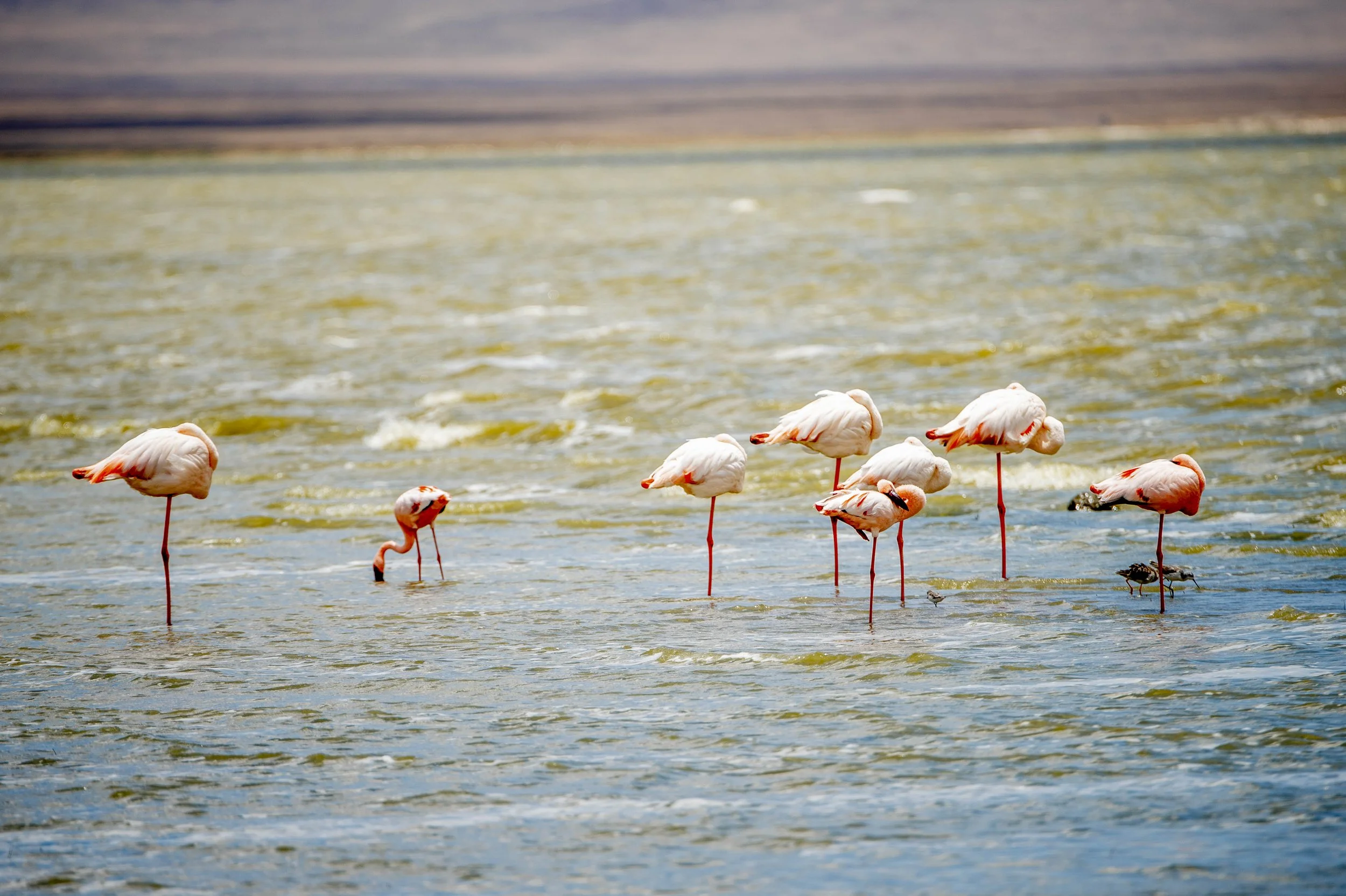 GUIDED TZ DAY 6_157.JPG