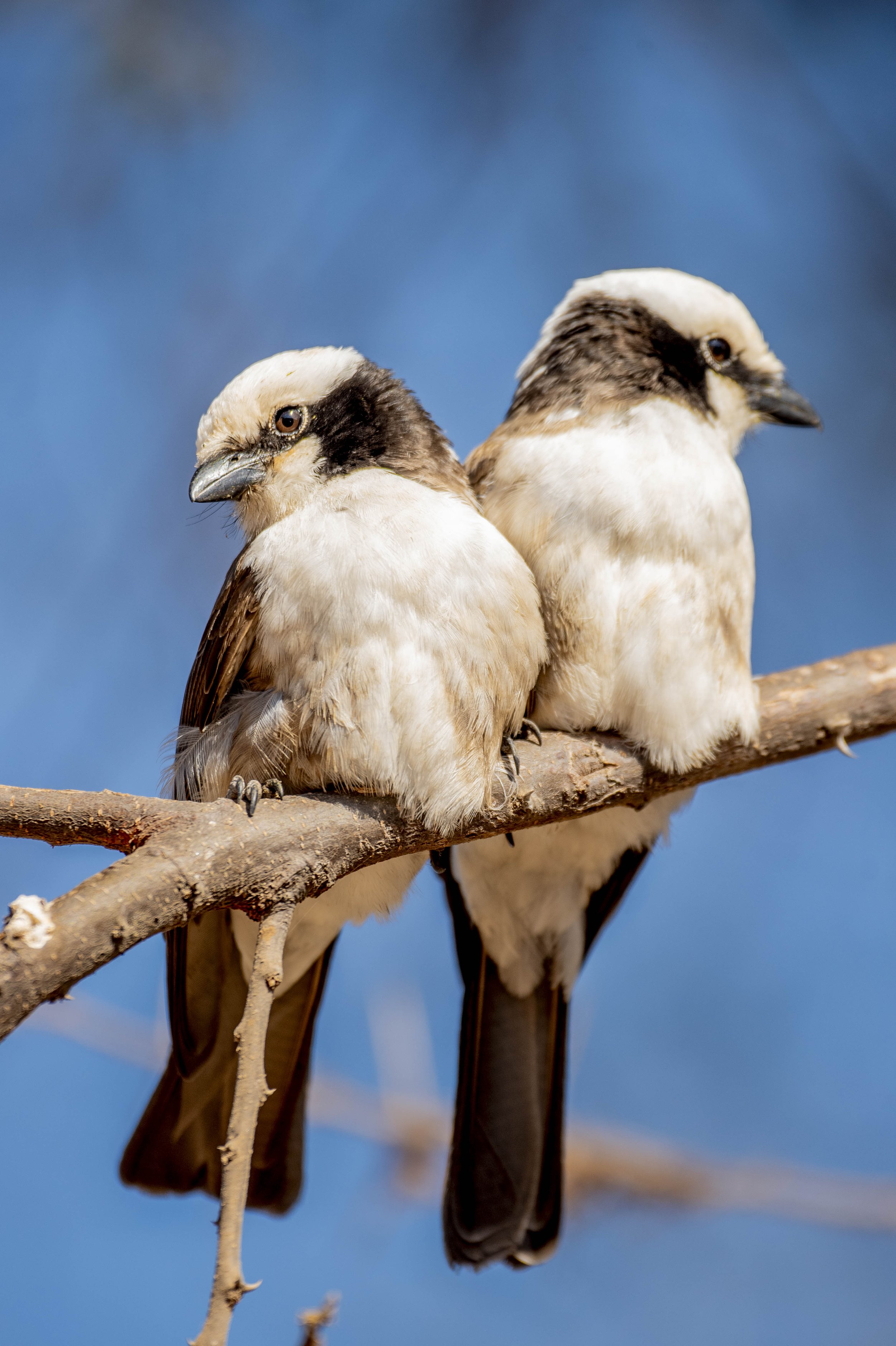 GUIDED TZ DAY 7_8_81.JPG