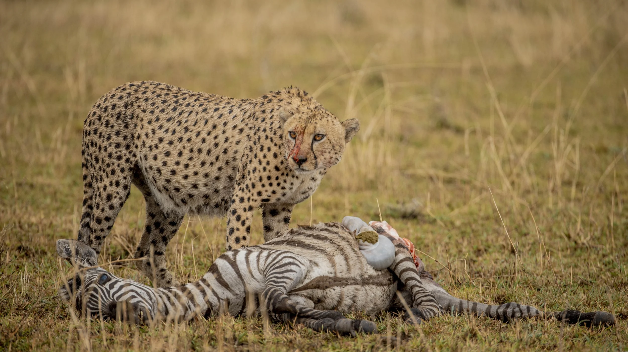 GUIDED TZ DAY 3_366.JPG