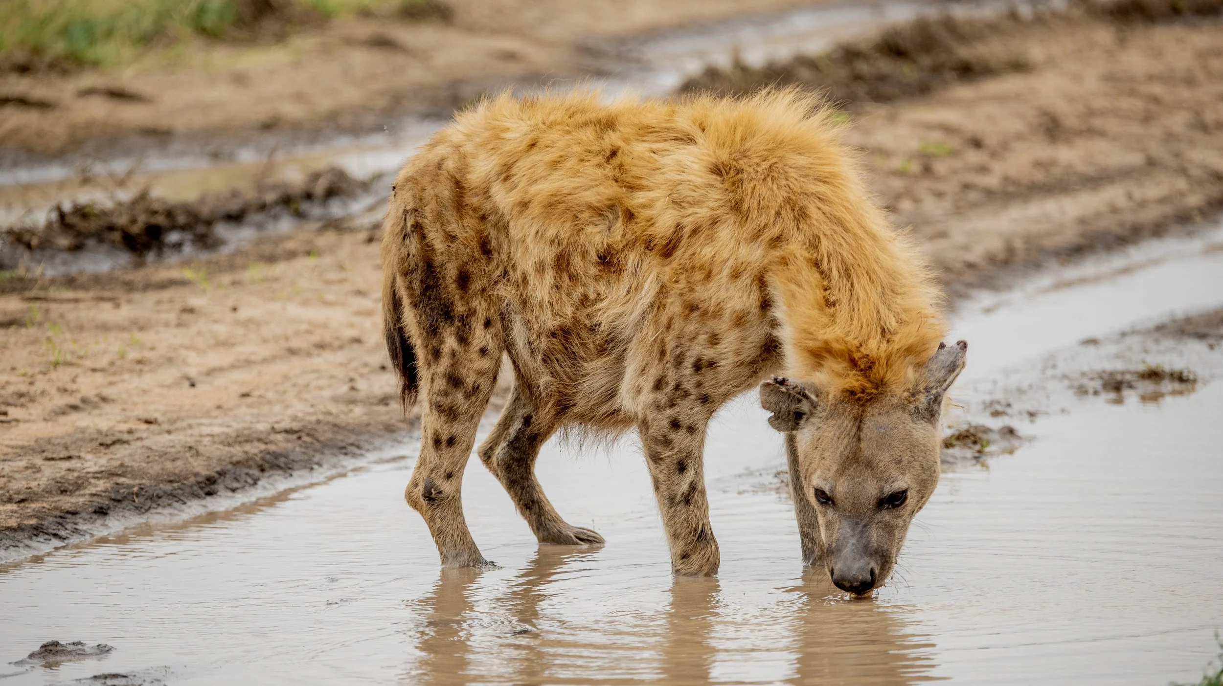 GUIDED TZ DAY 4_108.JPG