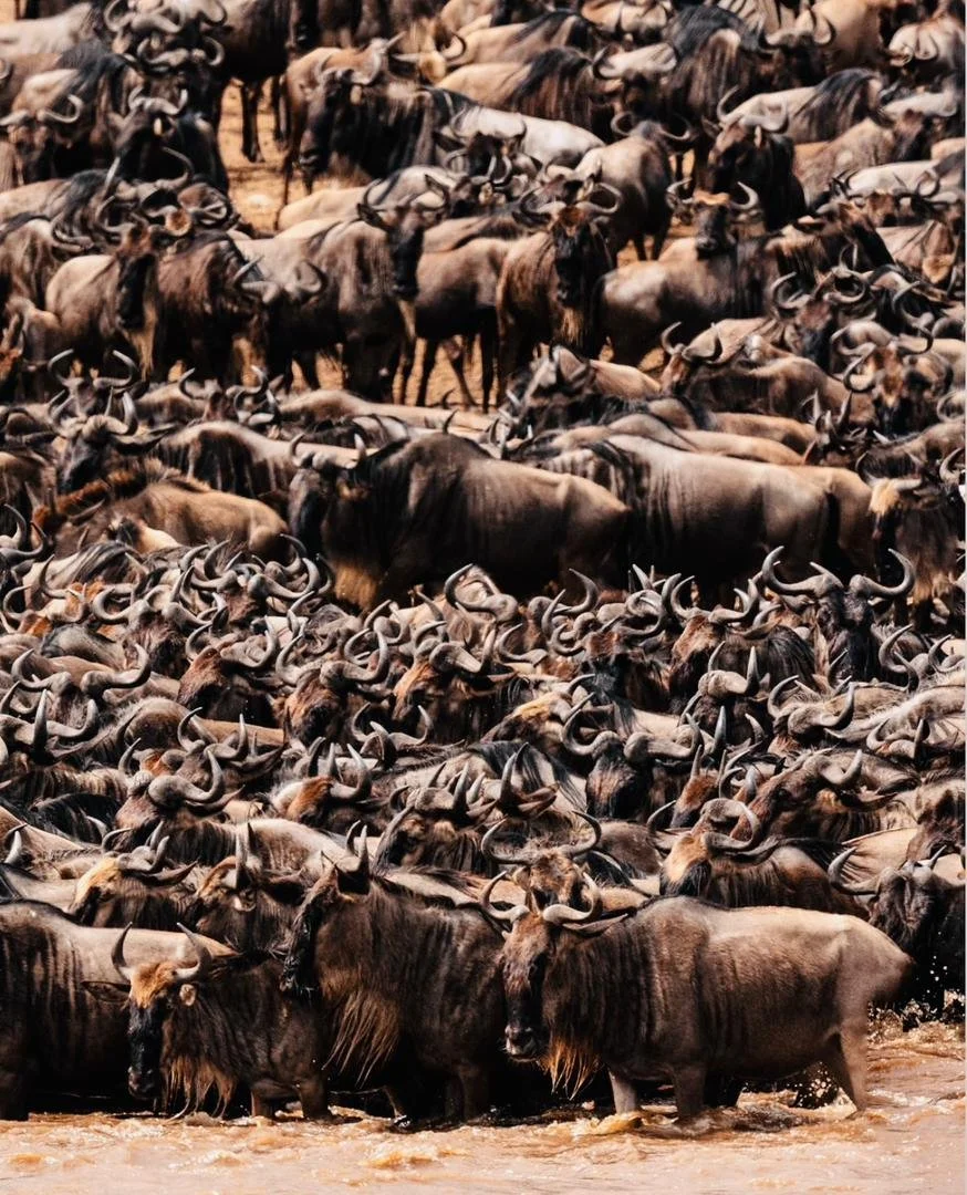 WhatsApp Image 2026-02-25 at 22.48.46.jpeg