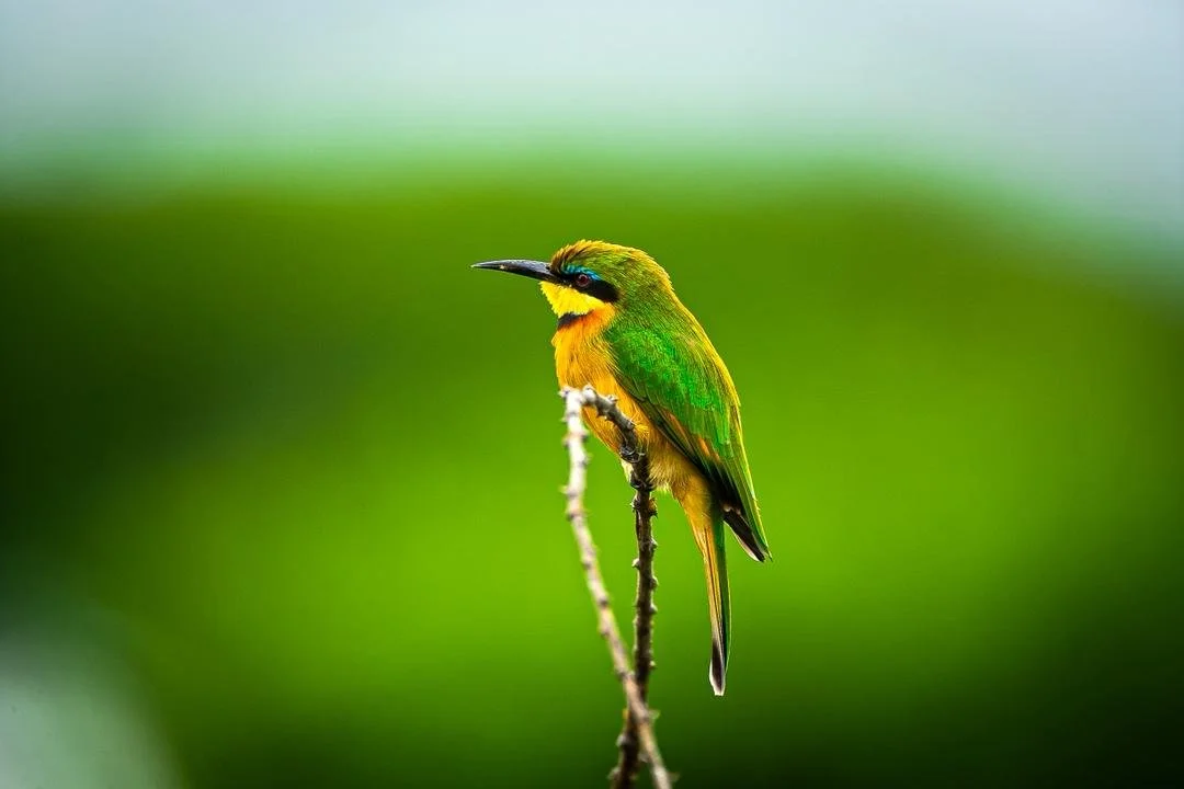 WhatsApp Image 2026-02-25 at 22.46.14 (4).jpeg