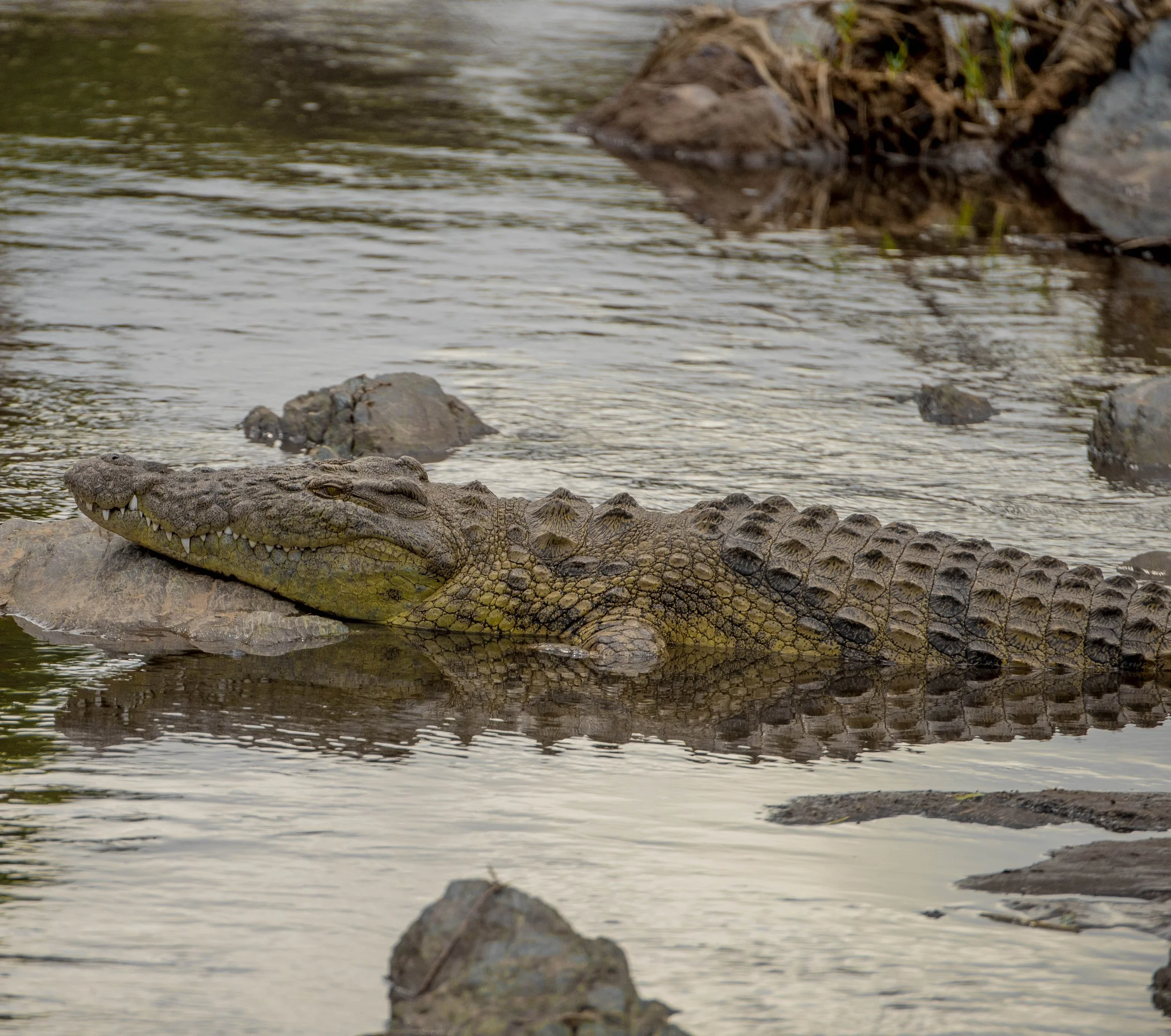 GUIDED TZ DAY 5_170.JPG