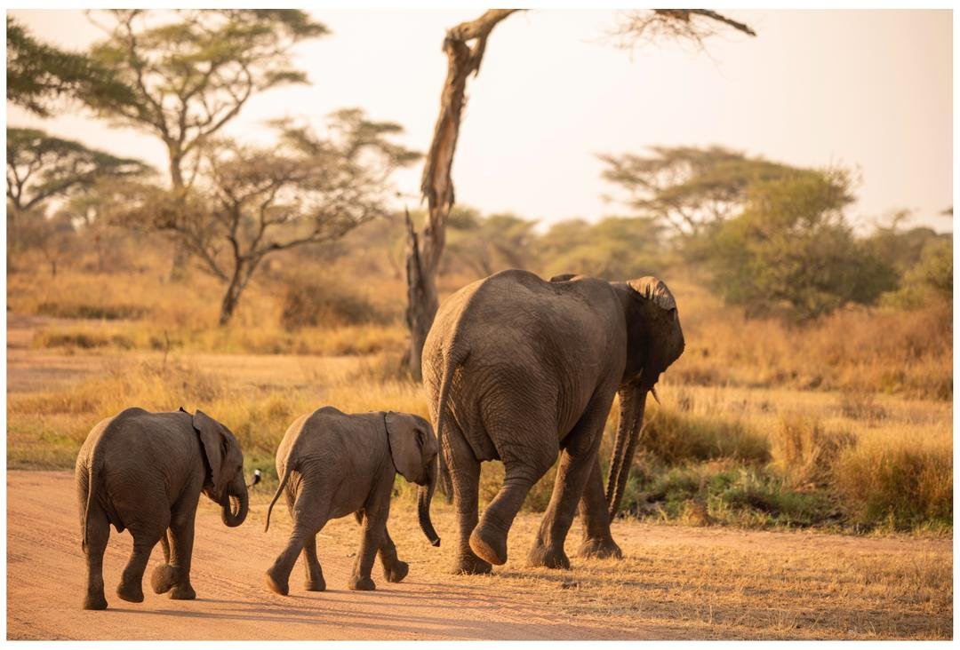 WhatsApp Image 2026-02-25 at 22.47.25 (1).jpeg