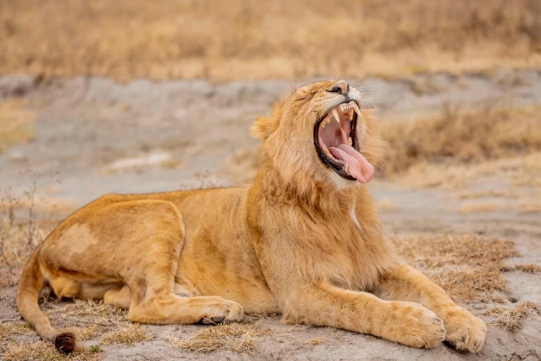 WhatsApp Image 2026-02-25 at 22.46.13 (1).jpeg