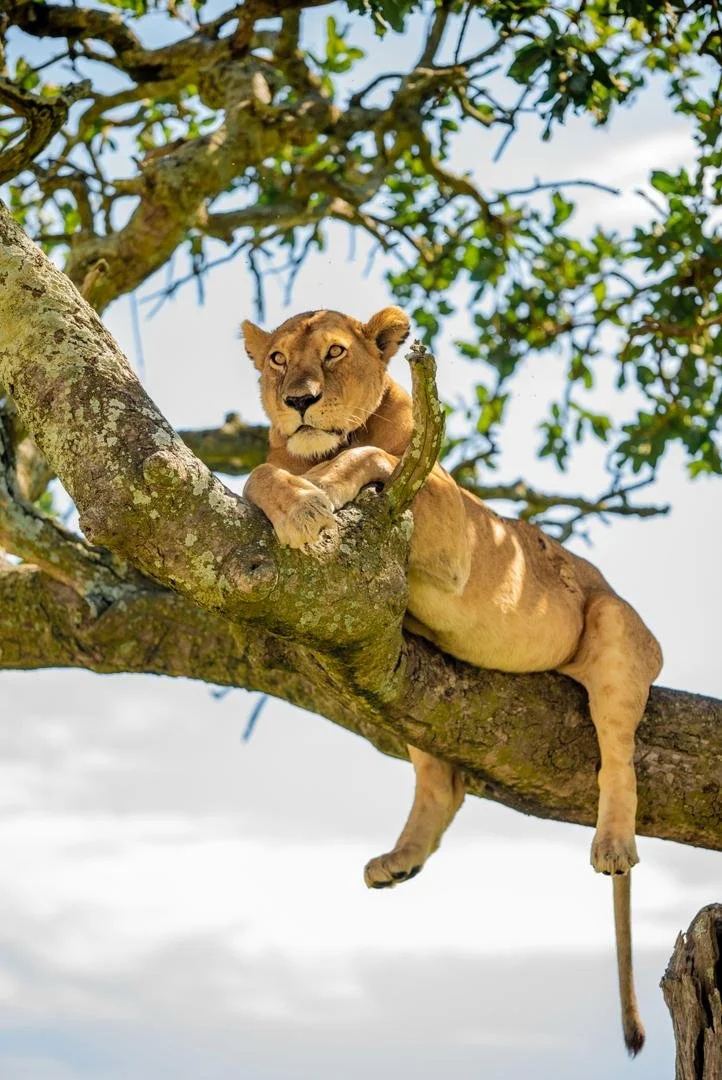 WhatsApp Image 2026-02-25 at 22.46.14 (3).jpeg