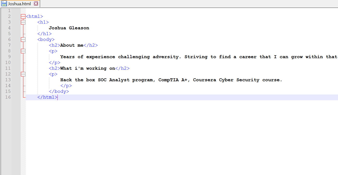Initial stages of my HTML website.