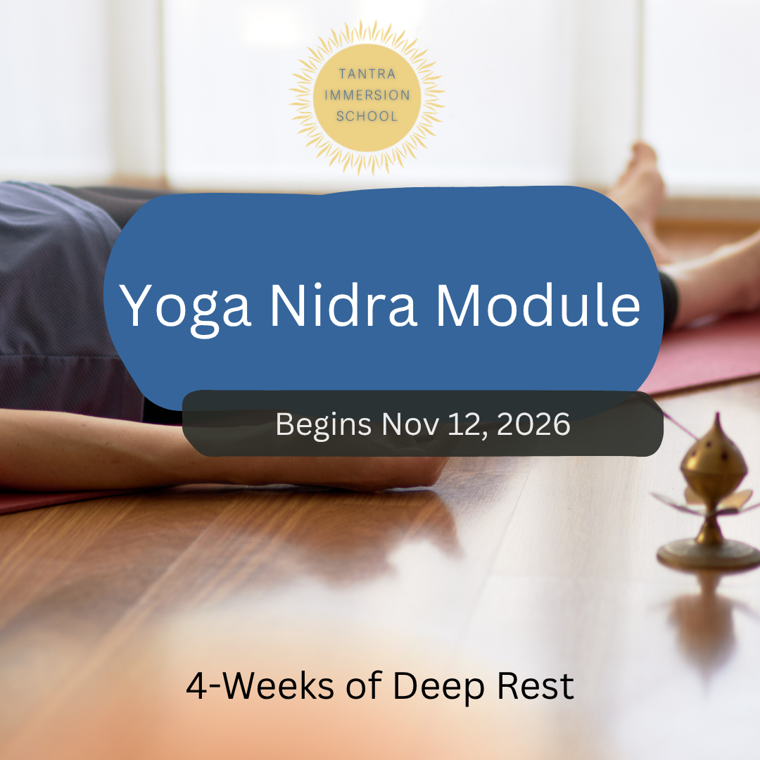 Online Yoga Nidra Module (First class of 4 week Morning Cohort)