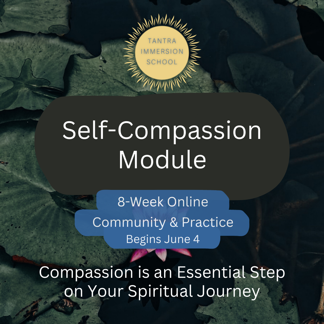 Self-Compassion Module Square Graphic 2.png