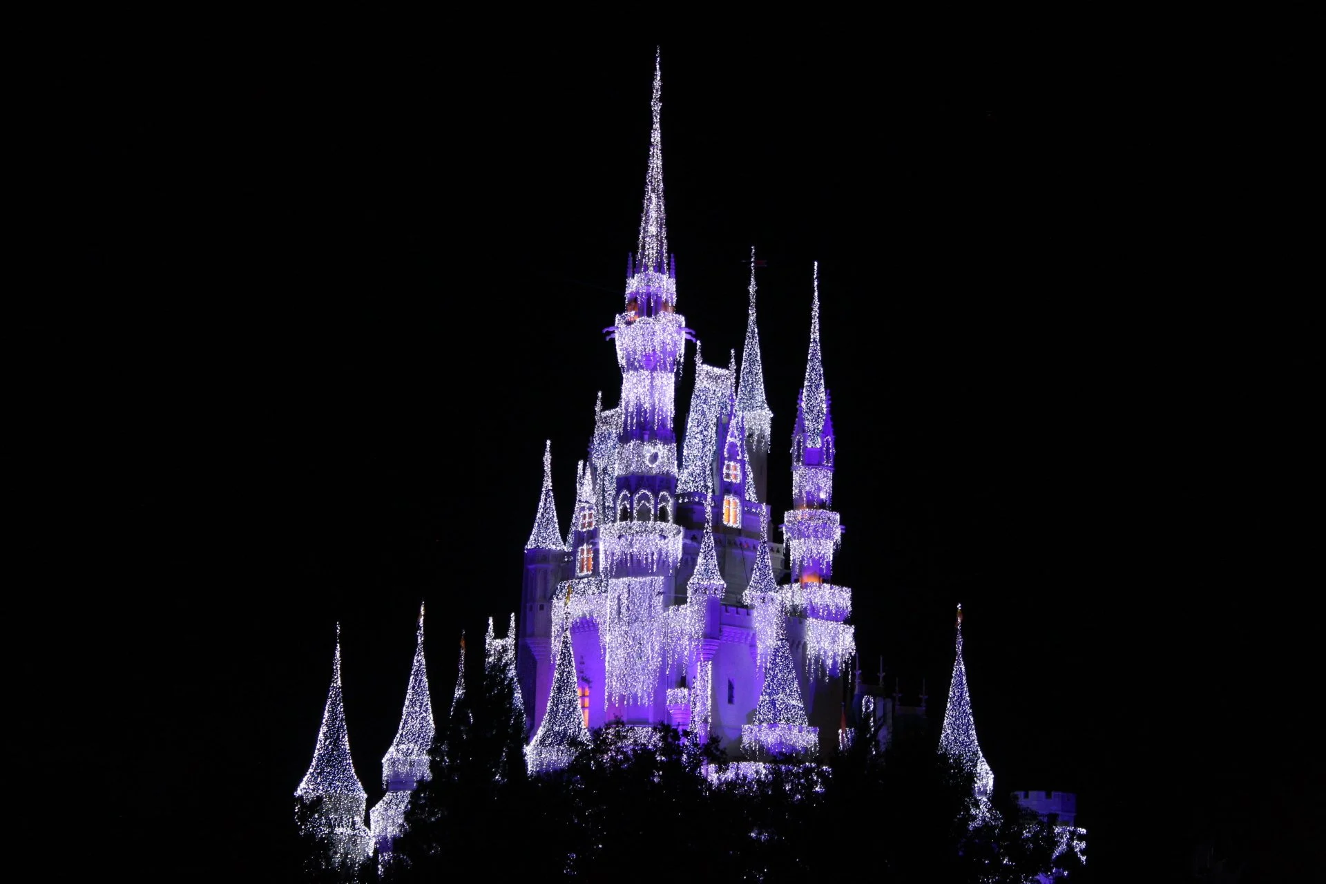 Castle illuminated with purple and white lights against a dark night sky.