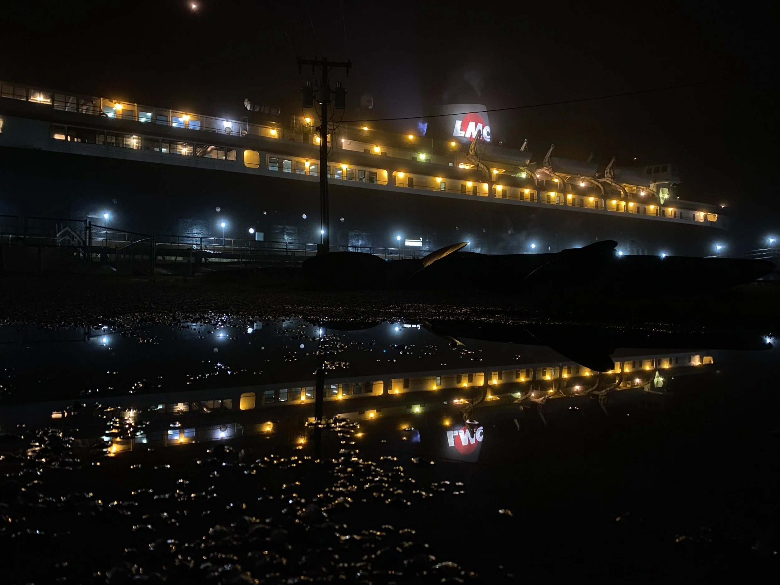 Illuminated ship at night with reflection in water puddle