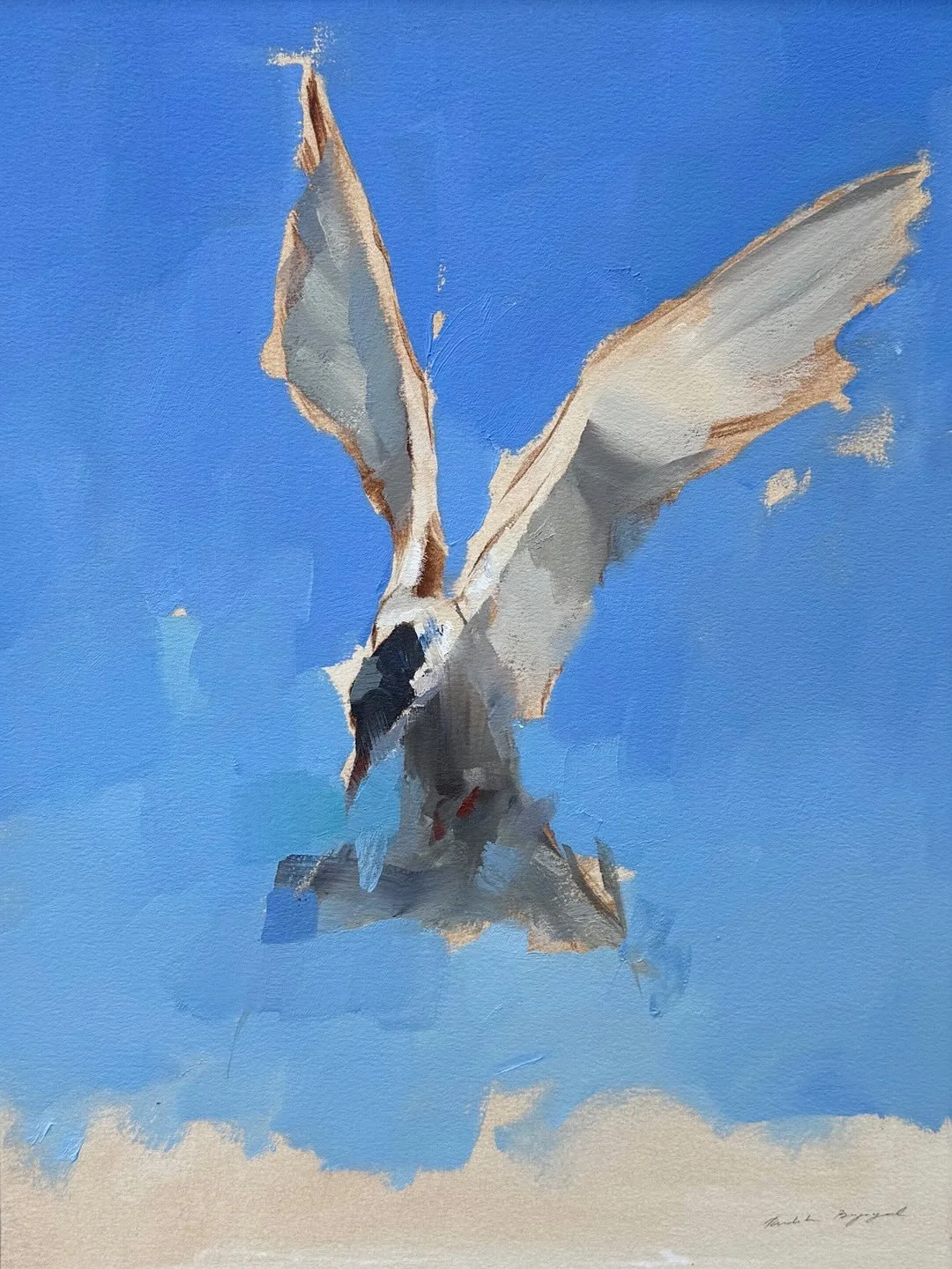 A selection of terns. Let me know which one is your favourite! 

#birdpainting #tern #animalart #oilpainting #konst #t&auml;rnor #oljem&aring;lning #konstrunda