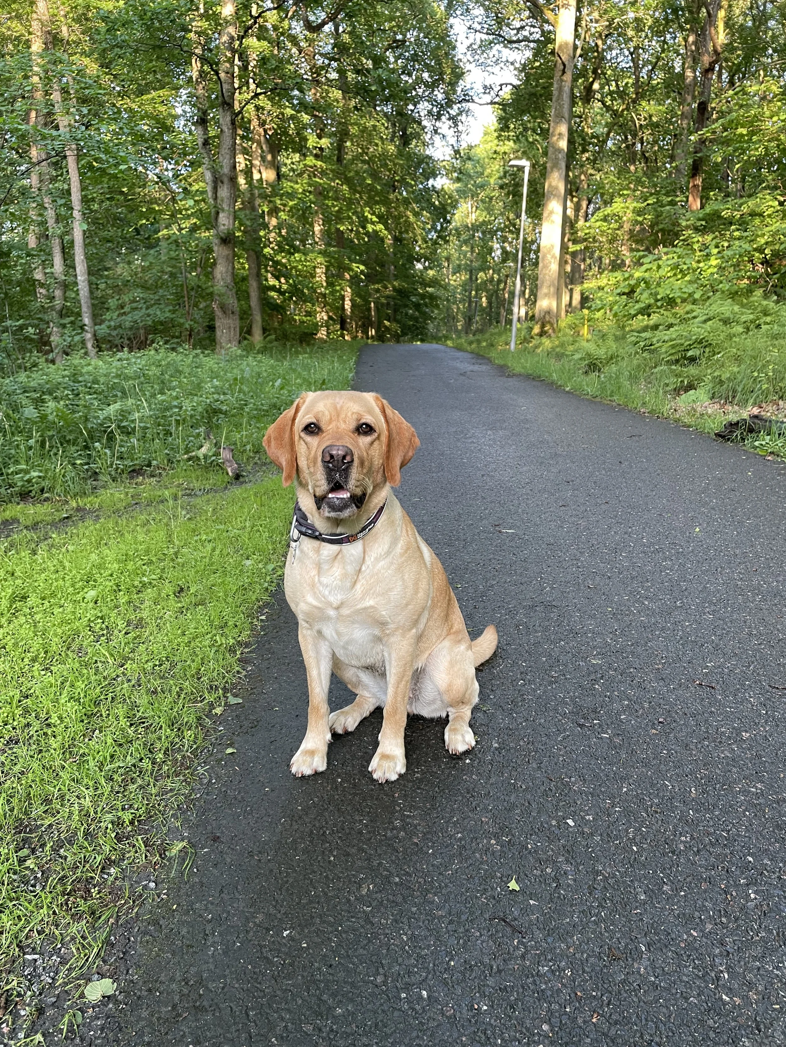 Chia relocated from Sweden to the U.S. with PTMC