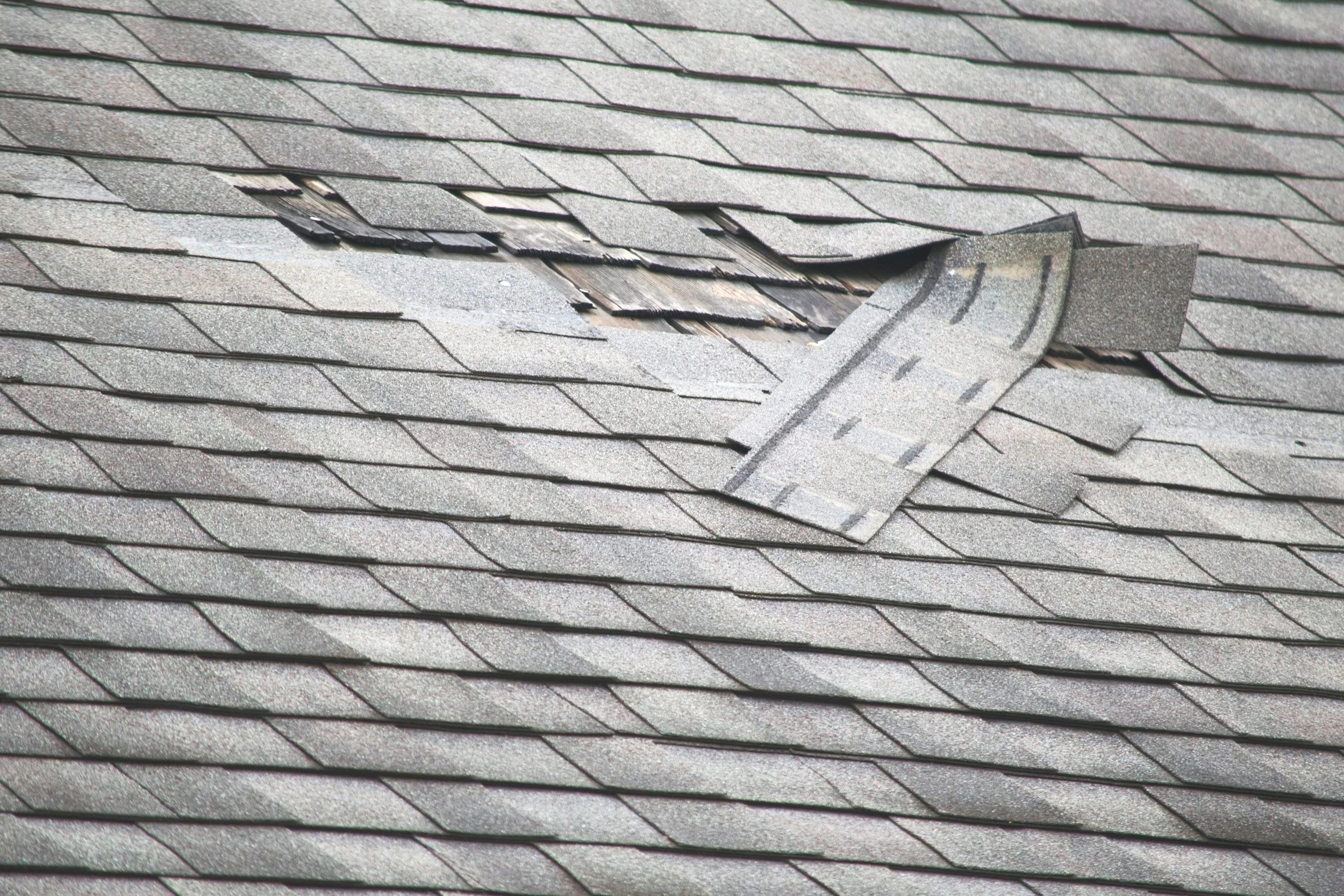 Loose, flapping shingles on badly damaged roof