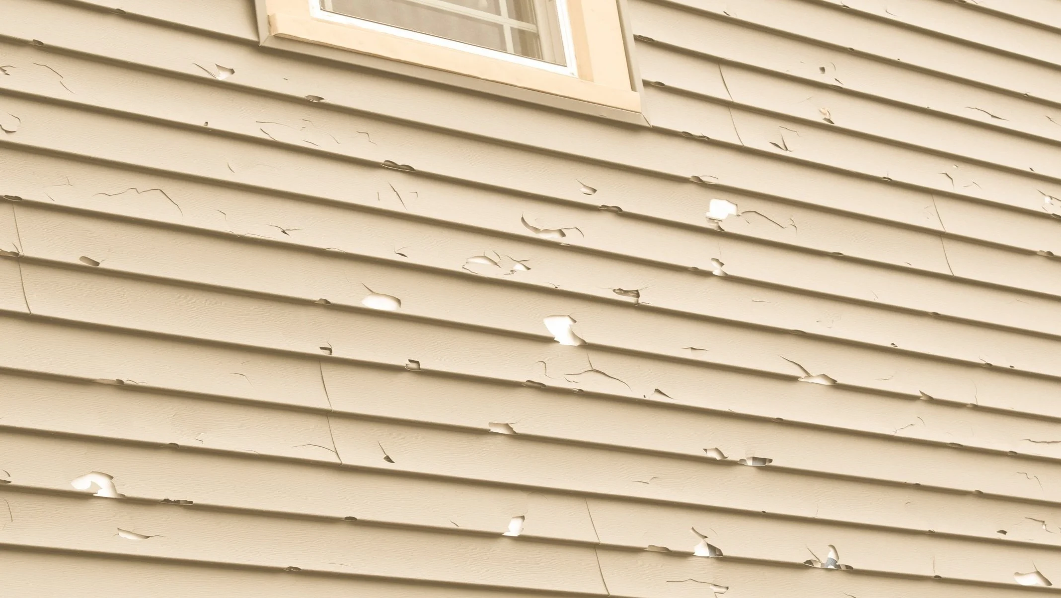 Large holes in badly damaged siding