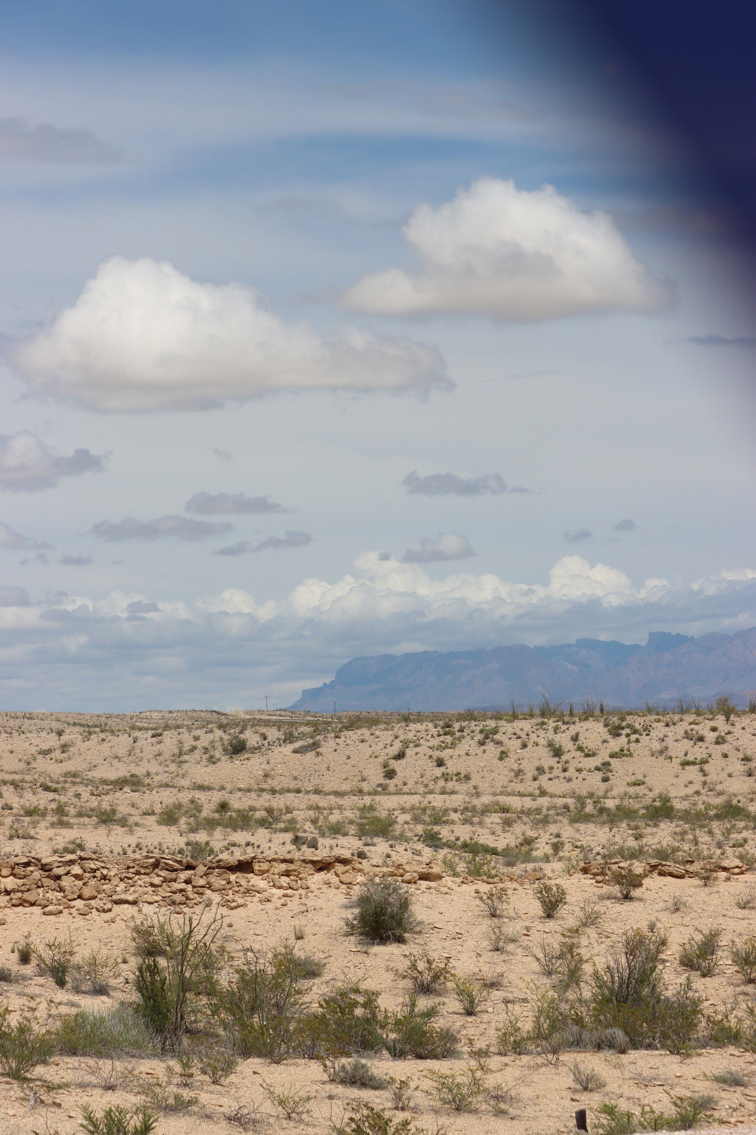 IMG_9112.JPG