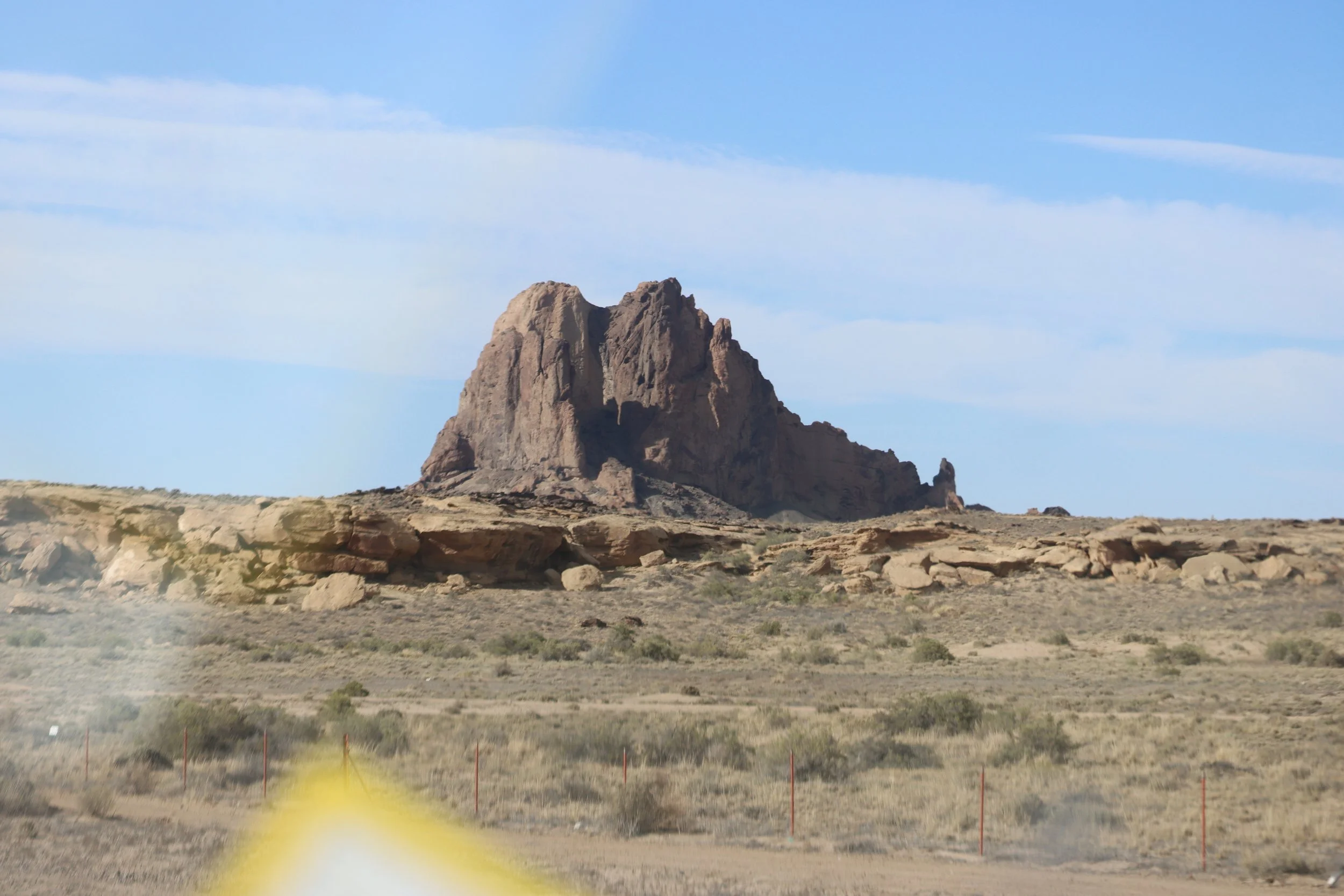 IMG_9942.JPG