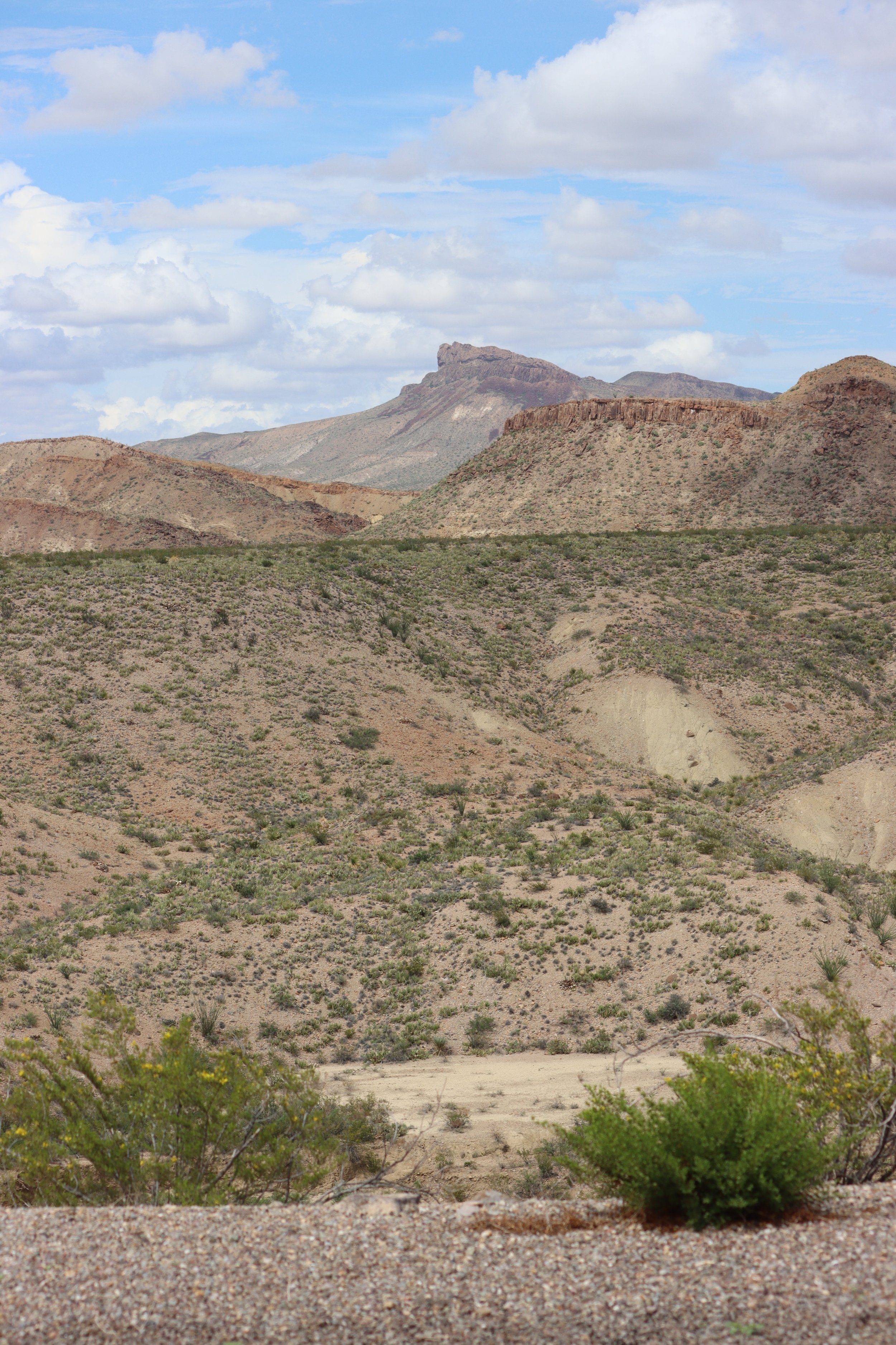 IMG_9133.JPG