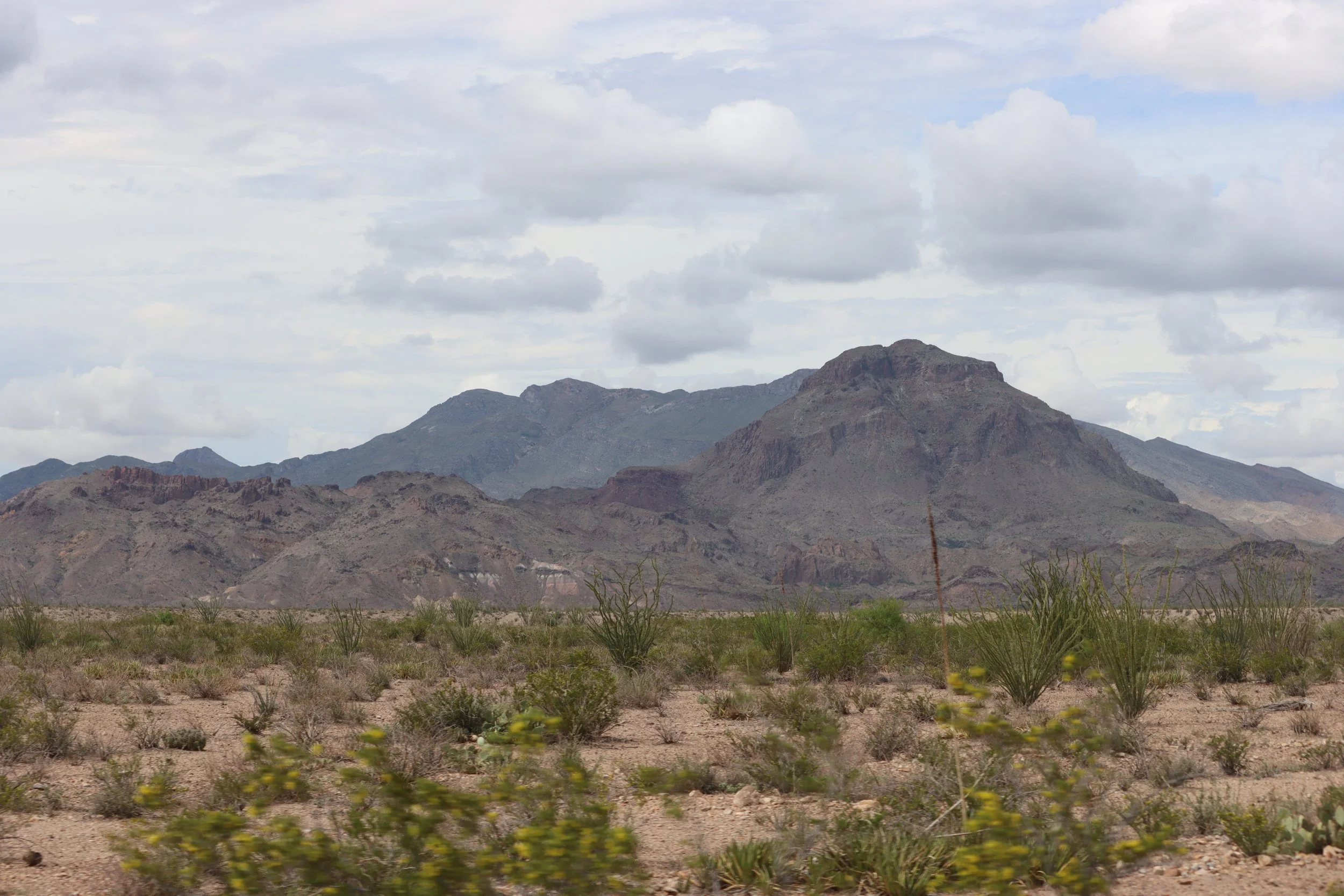IMG_9125.JPG
