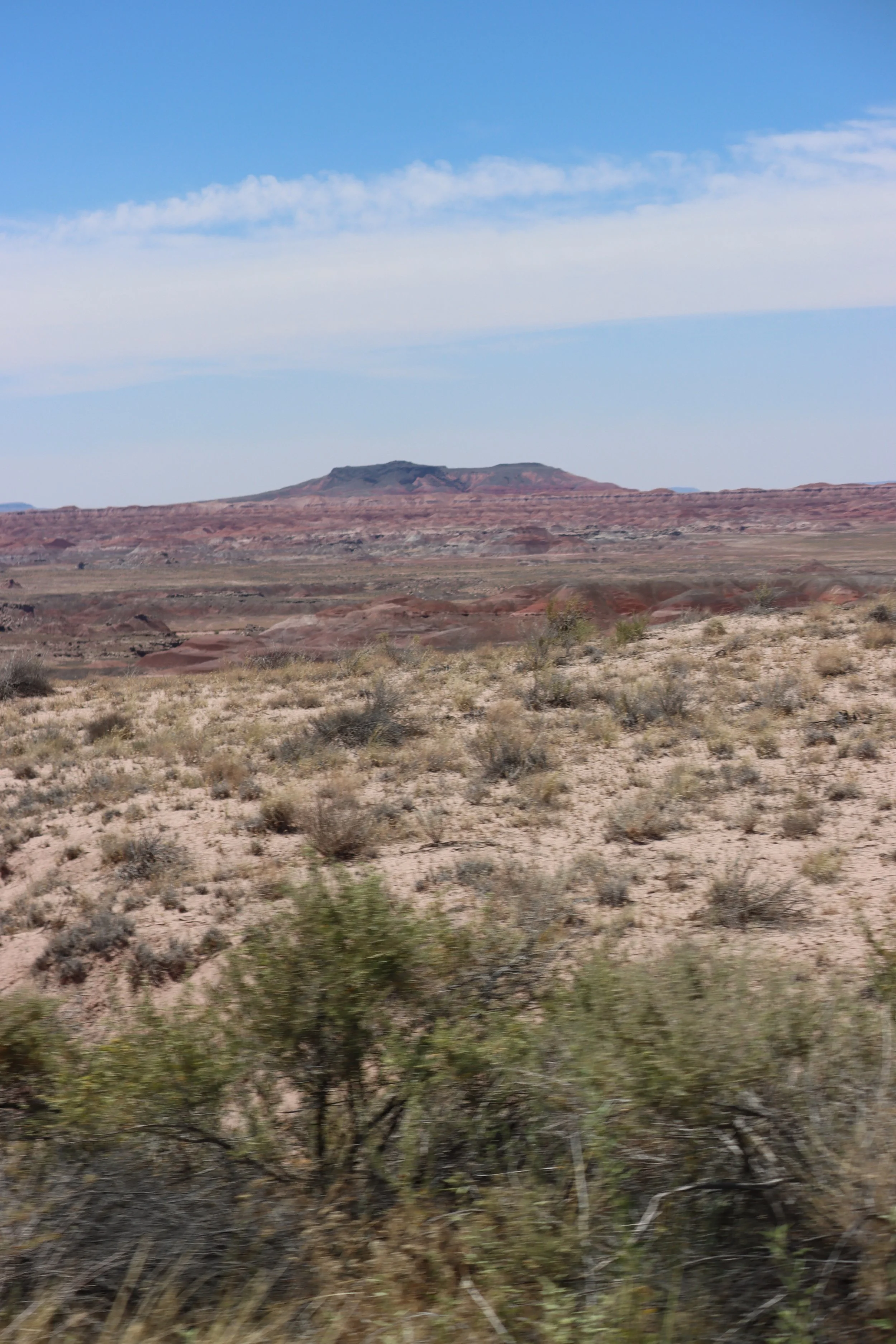 IMG_9921.JPG