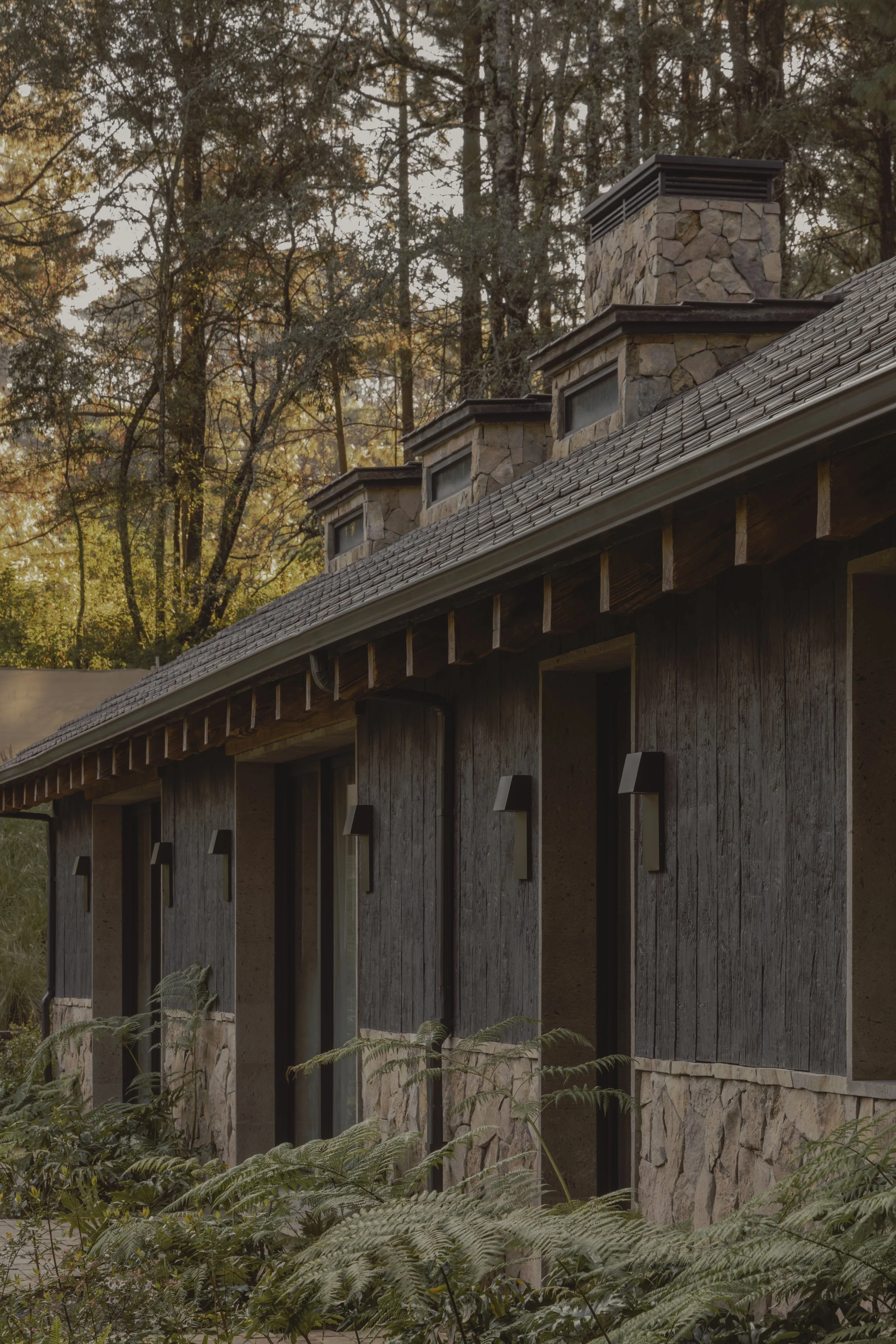 Casa de piedra con escaleras junto a un bosque de árboles de hojas verdes y doradas, bajo un cielo despejado.