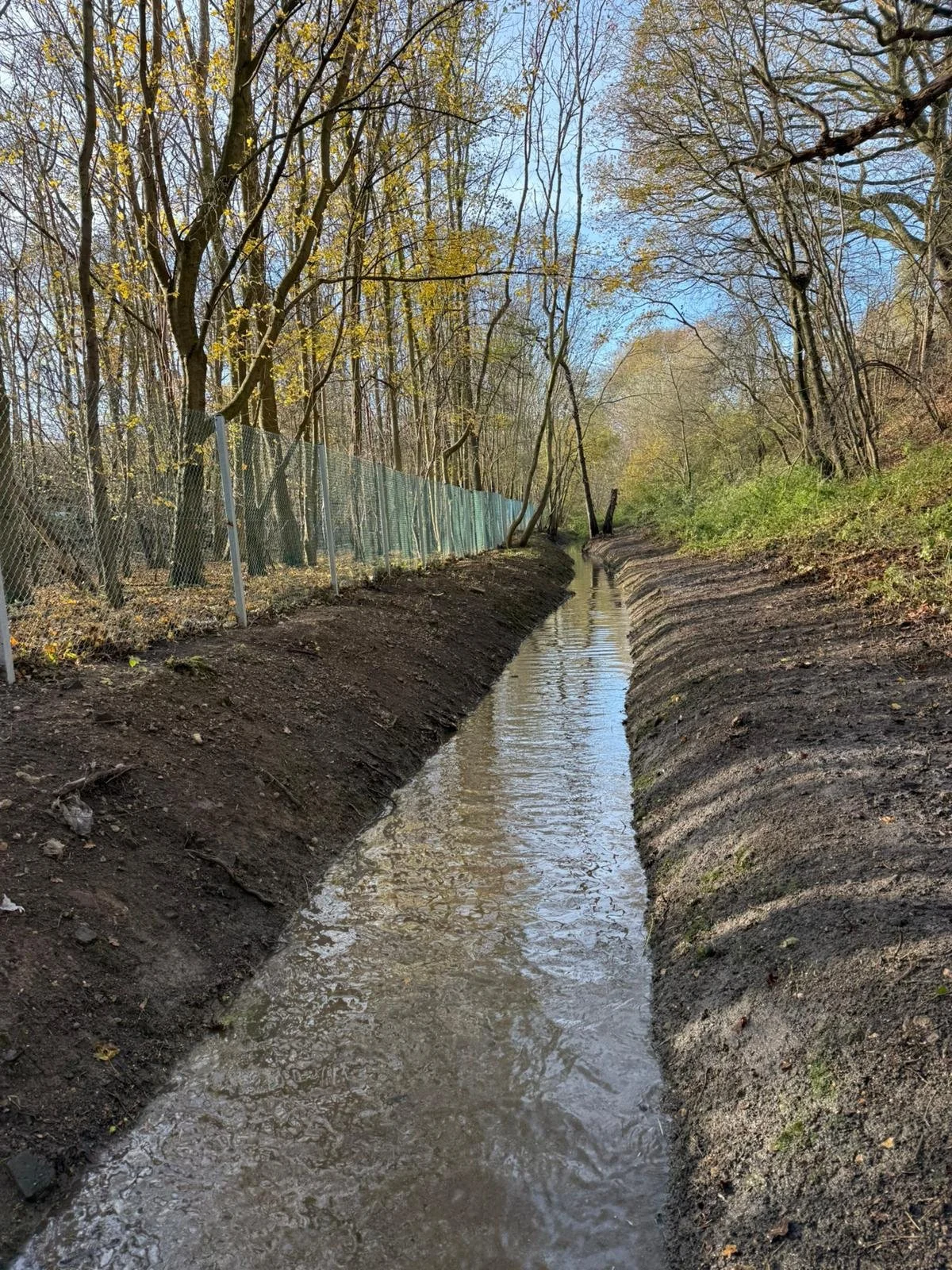 Drainage.jpg