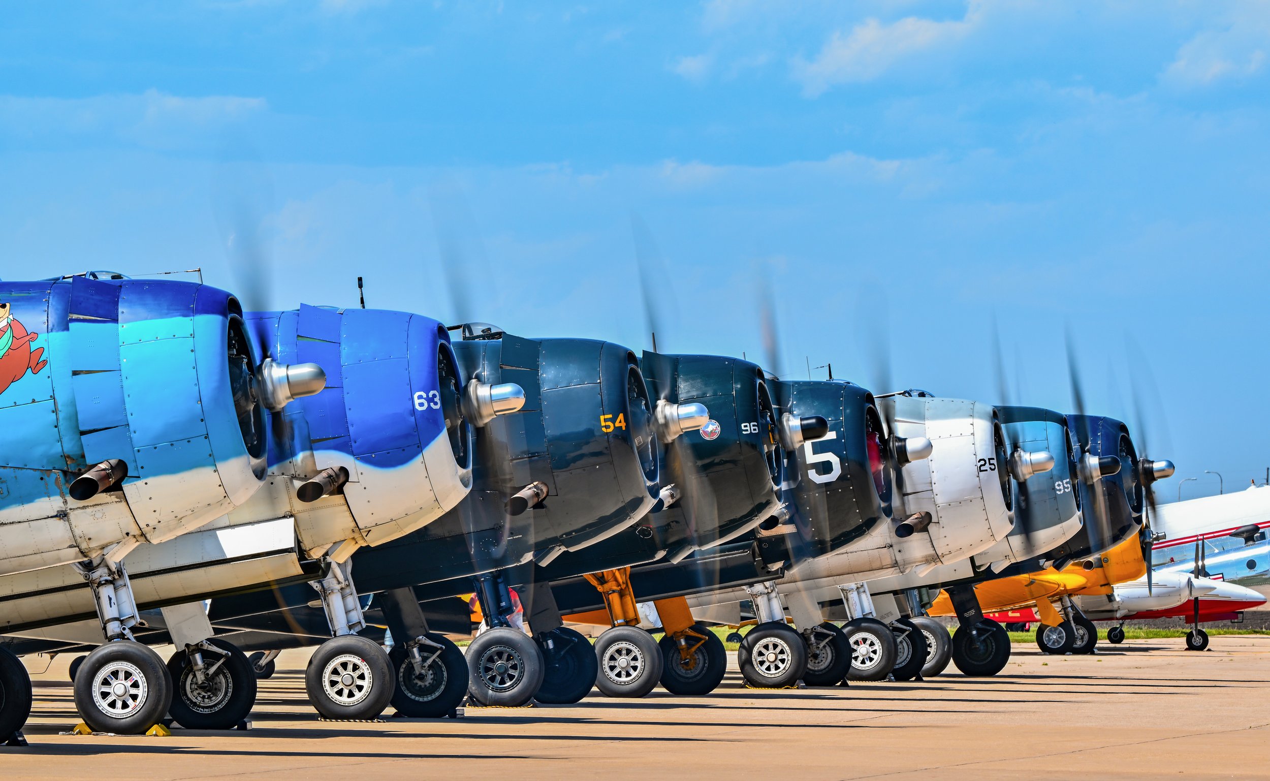 DSC_8258.jpg