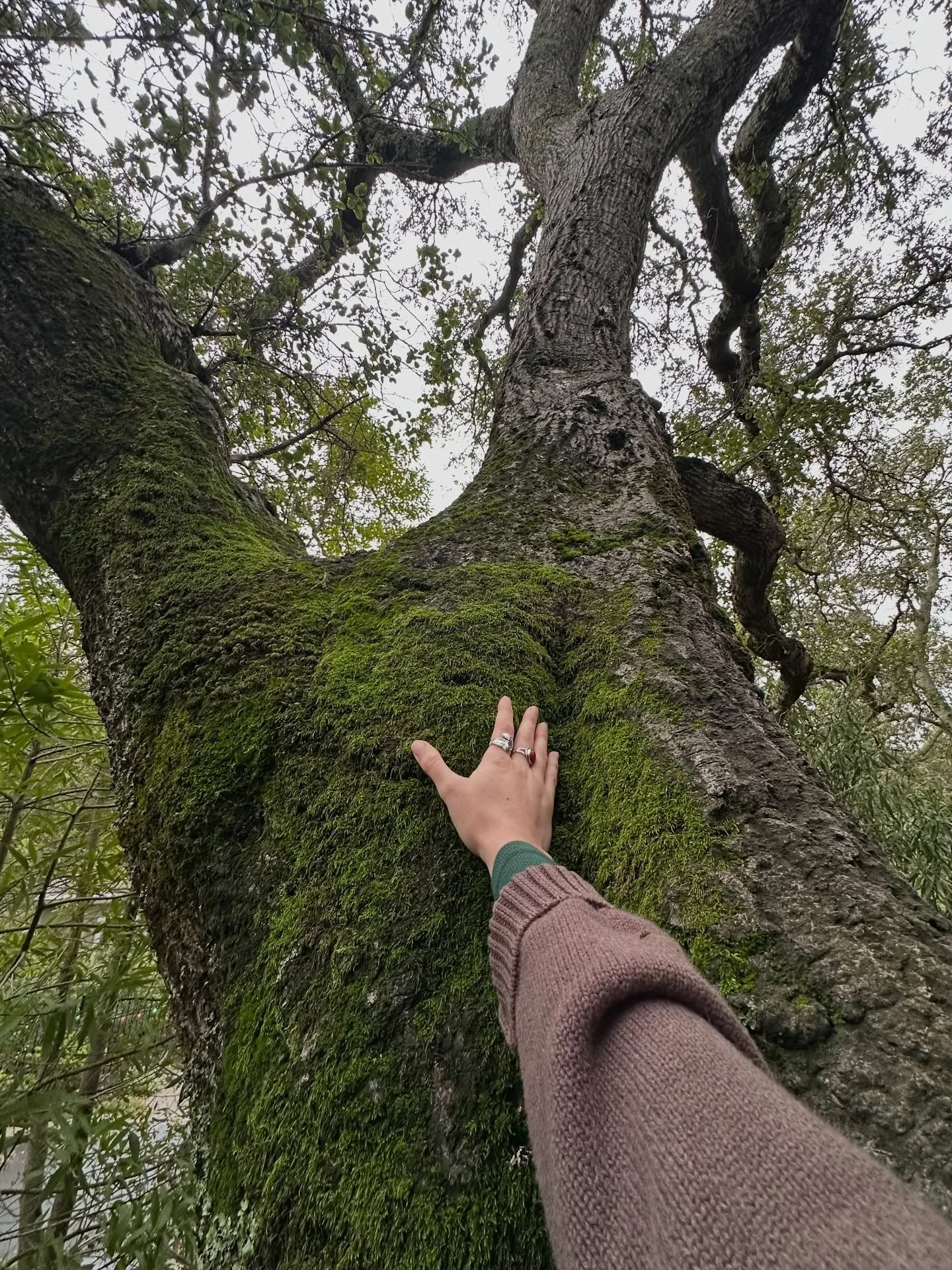 12/30/25&ndash; &ldquo;I am a blue iPod Nano I am stacks of notebooks I am my favorite socks I am old birthday cards I am my best friends I am a red &lsquo;99 Chevy Venture I am ice skating I am black coffee I am my grandma&rsquo;s needlepoint pillow