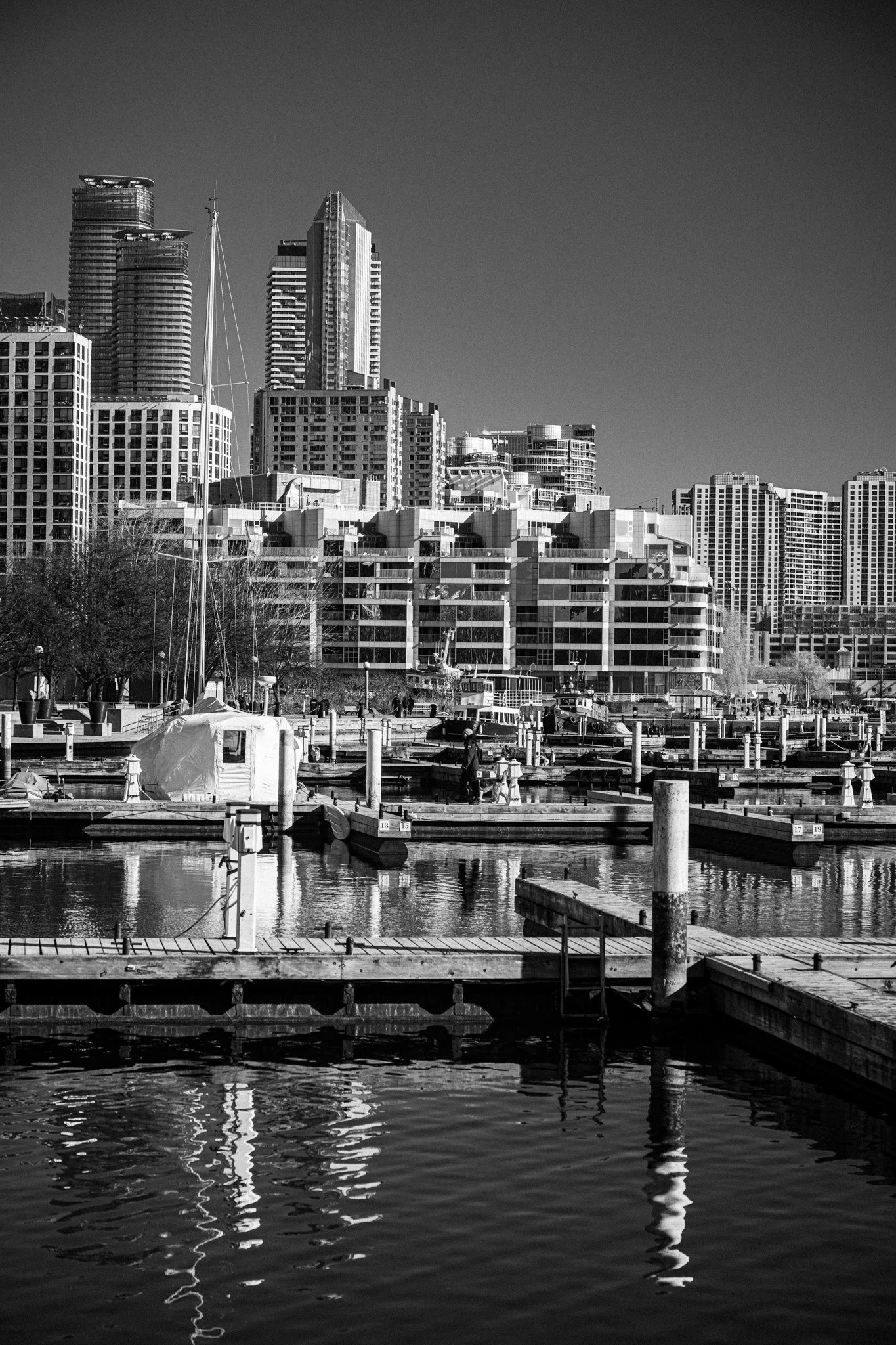 DSC_2564.jpg