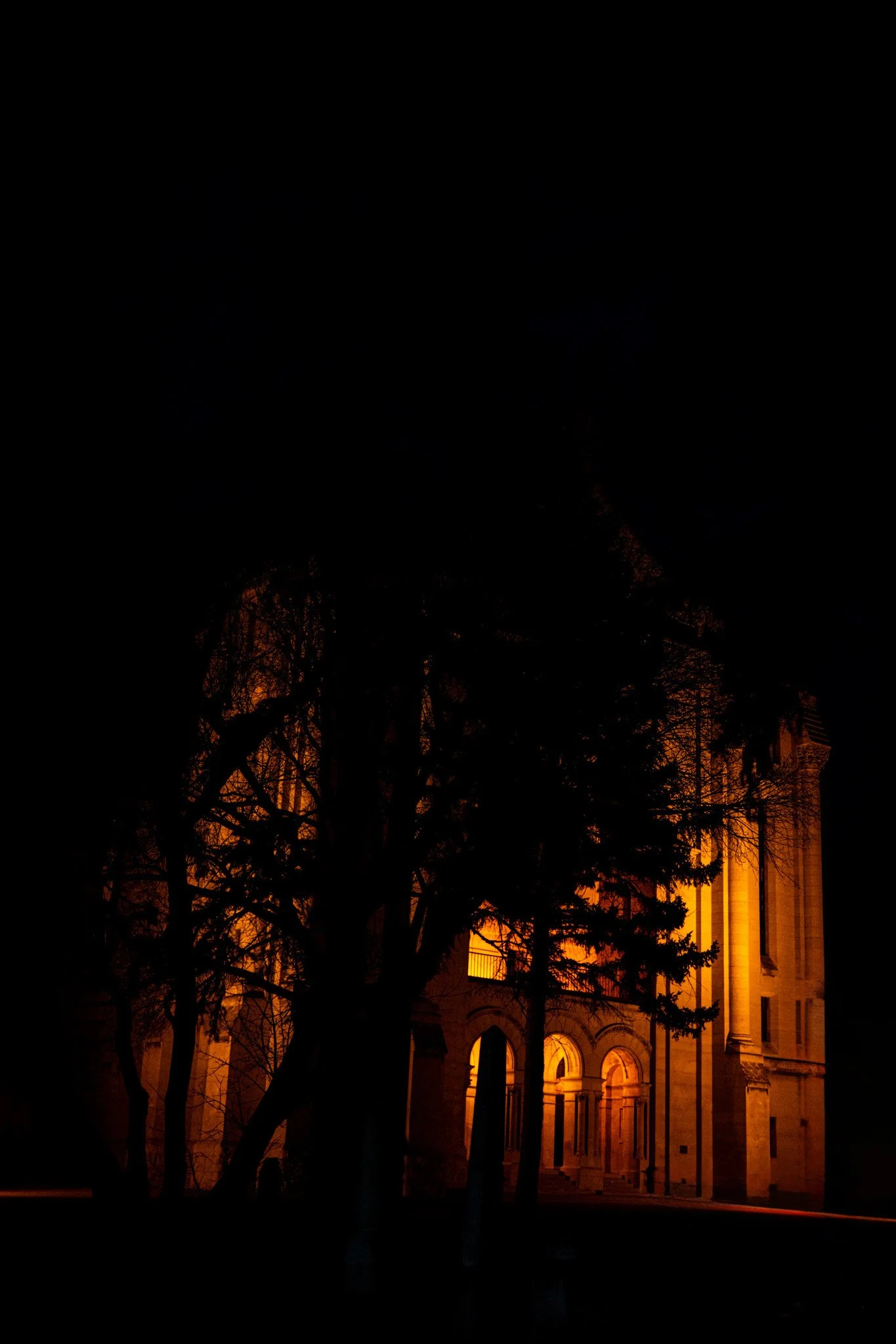 DSC_2676.jpg