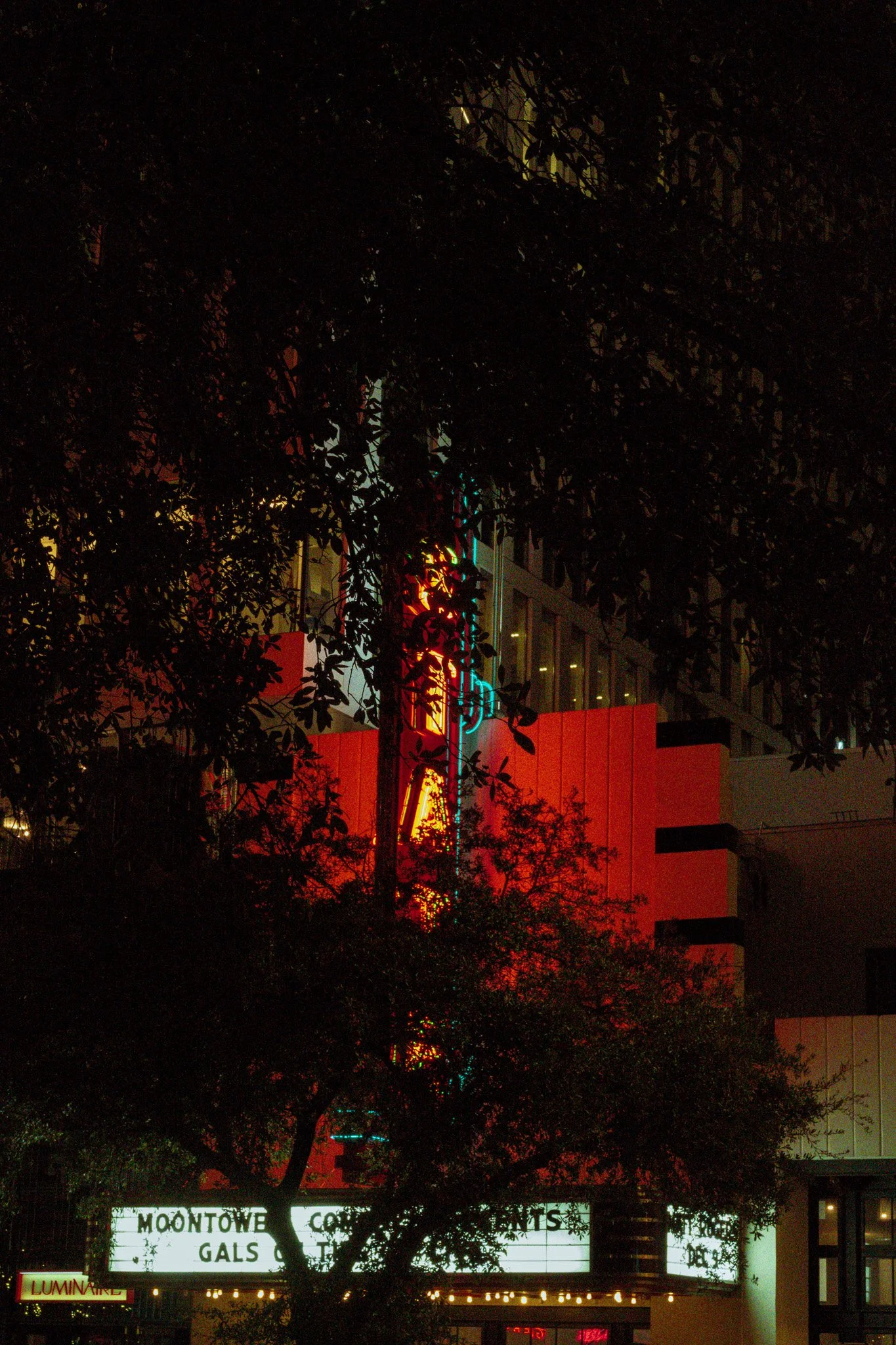 DSC_1898.jpg