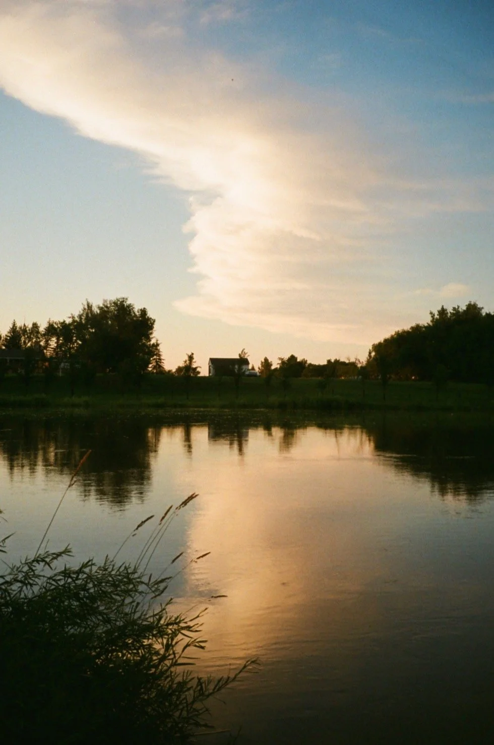 IMG_0382.jpg