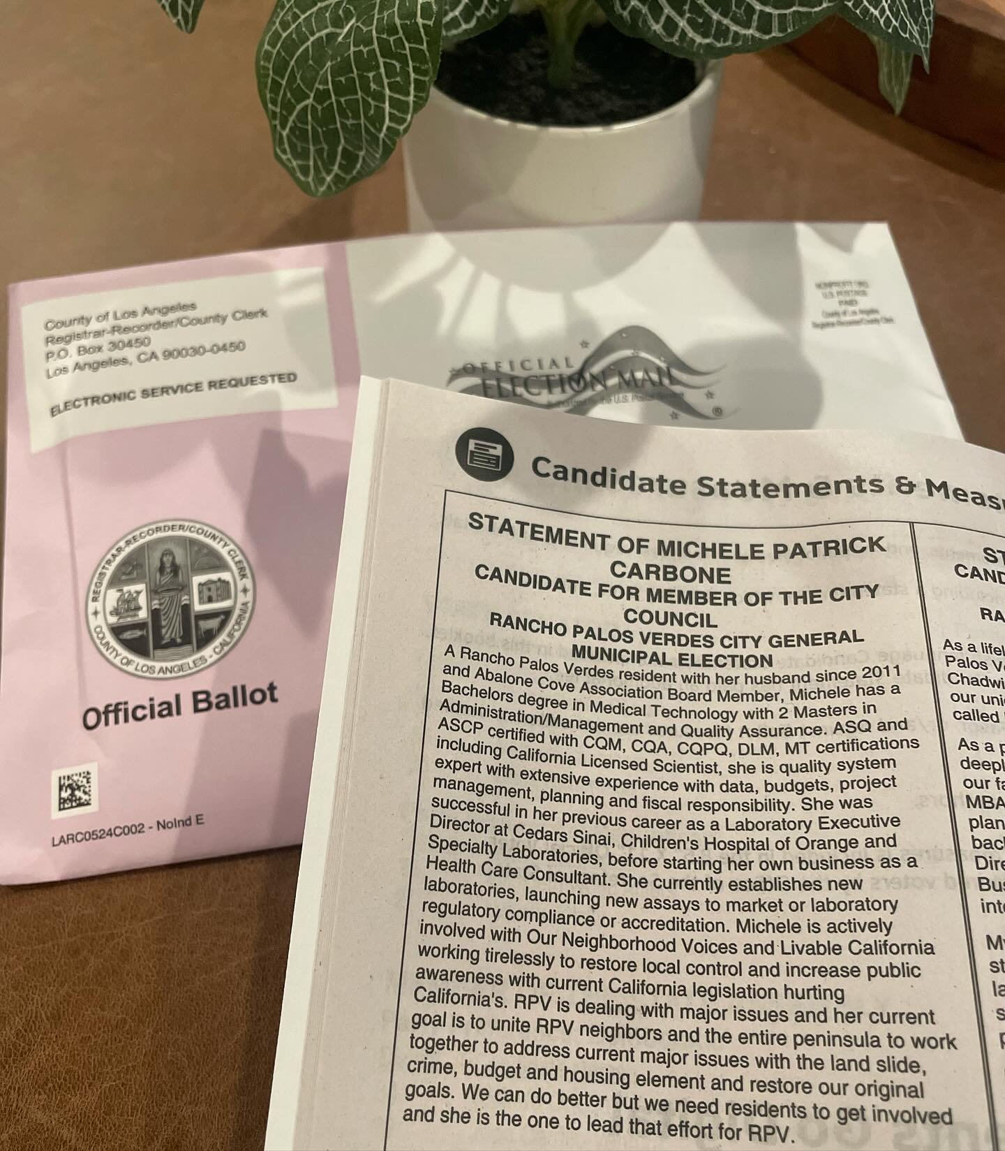 Be sure to read my Candidate Statement and find me on the Official Ballot! 

I hope to earn your support and vote in this upcoming election. 

#michelecarbone4RPV #rpvcitycouncil