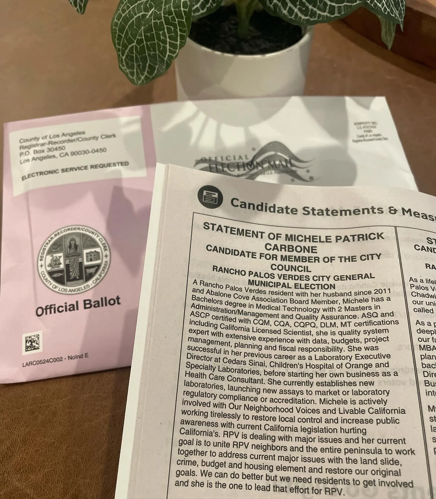 Be sure to read my Candidate Statement and find me on the Official Ballot! 

I hope to earn your support and vote in this upcoming election. 

#michelecarbone4RPV #rpvcitycouncil