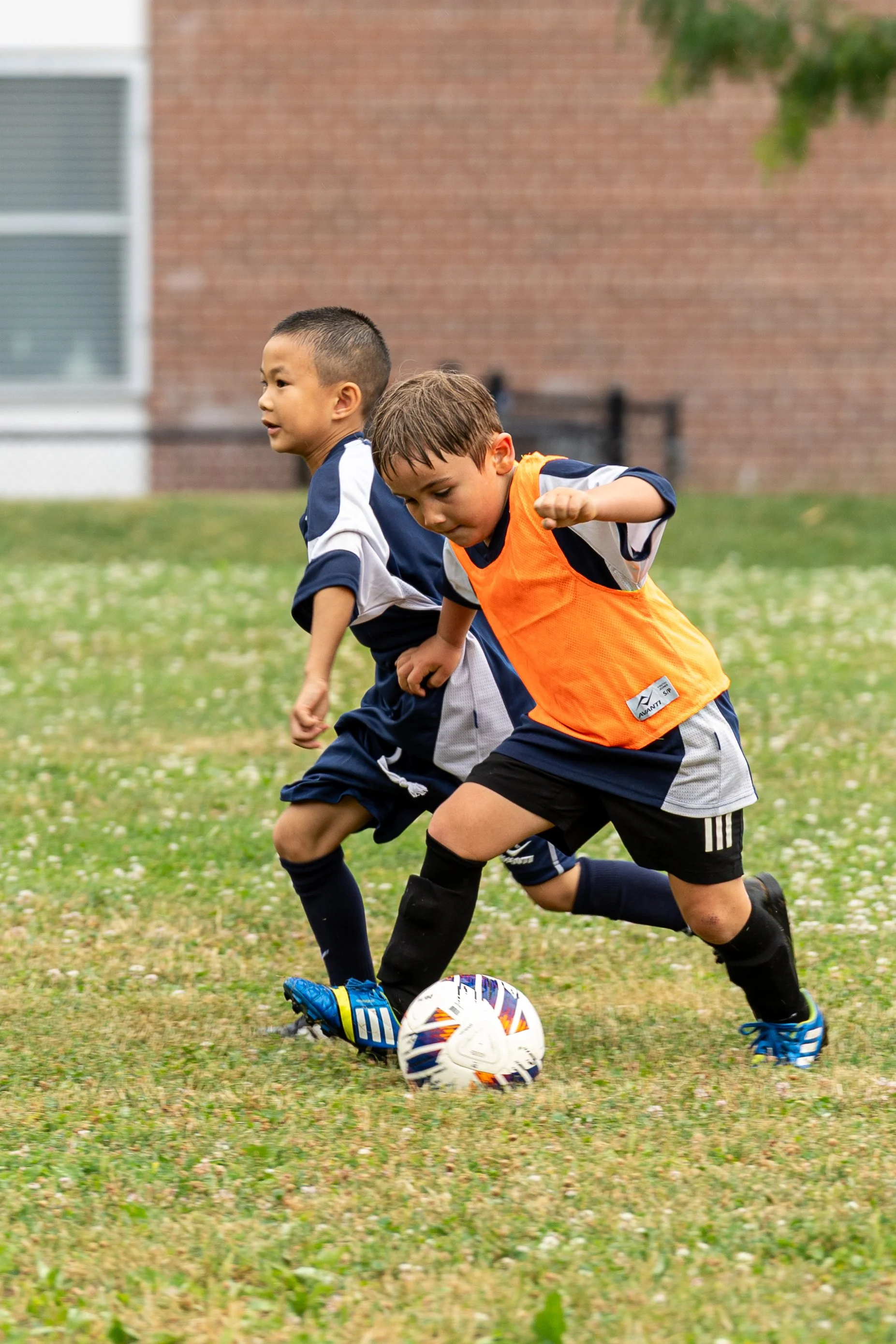 Competitive Tryouts (Born 2010–2020)