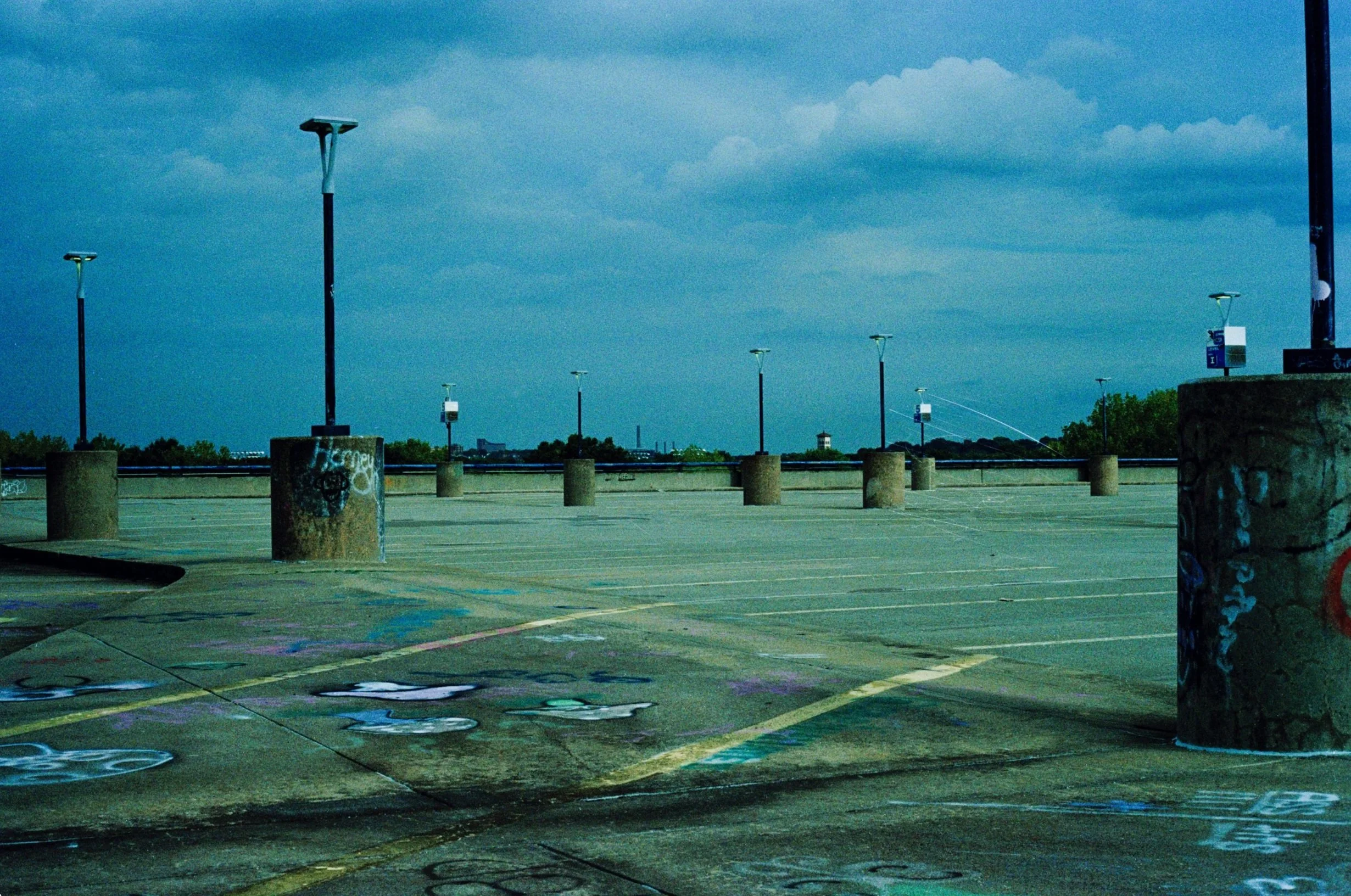 alewife2-Edit+copy.jpg