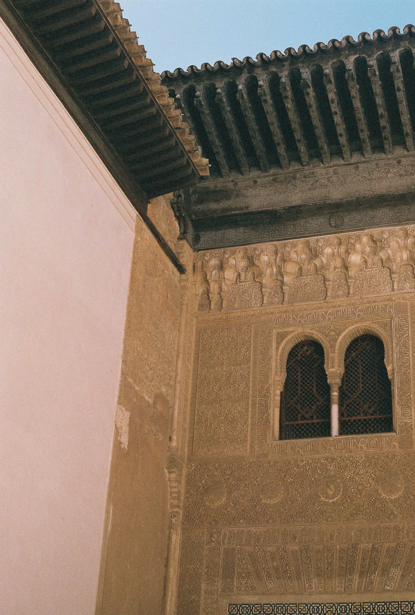 000024 copy.jpg