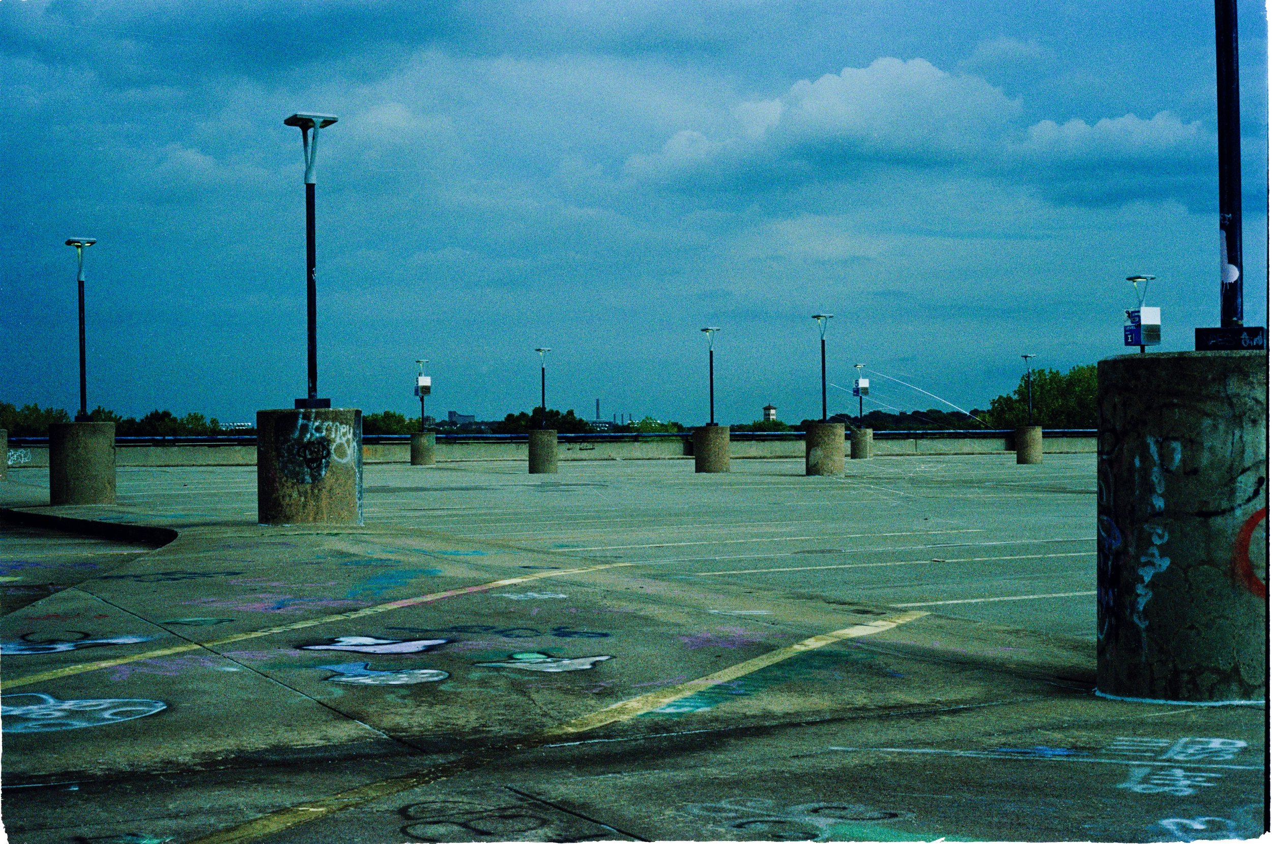 alewife2-Edit copy.jpg