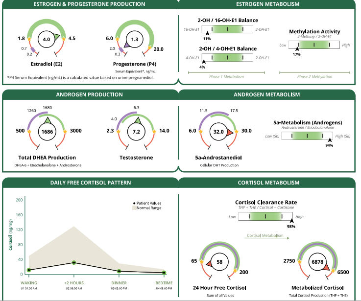 Dried Urine Test for Comprehensive Hormones (DUTCH)