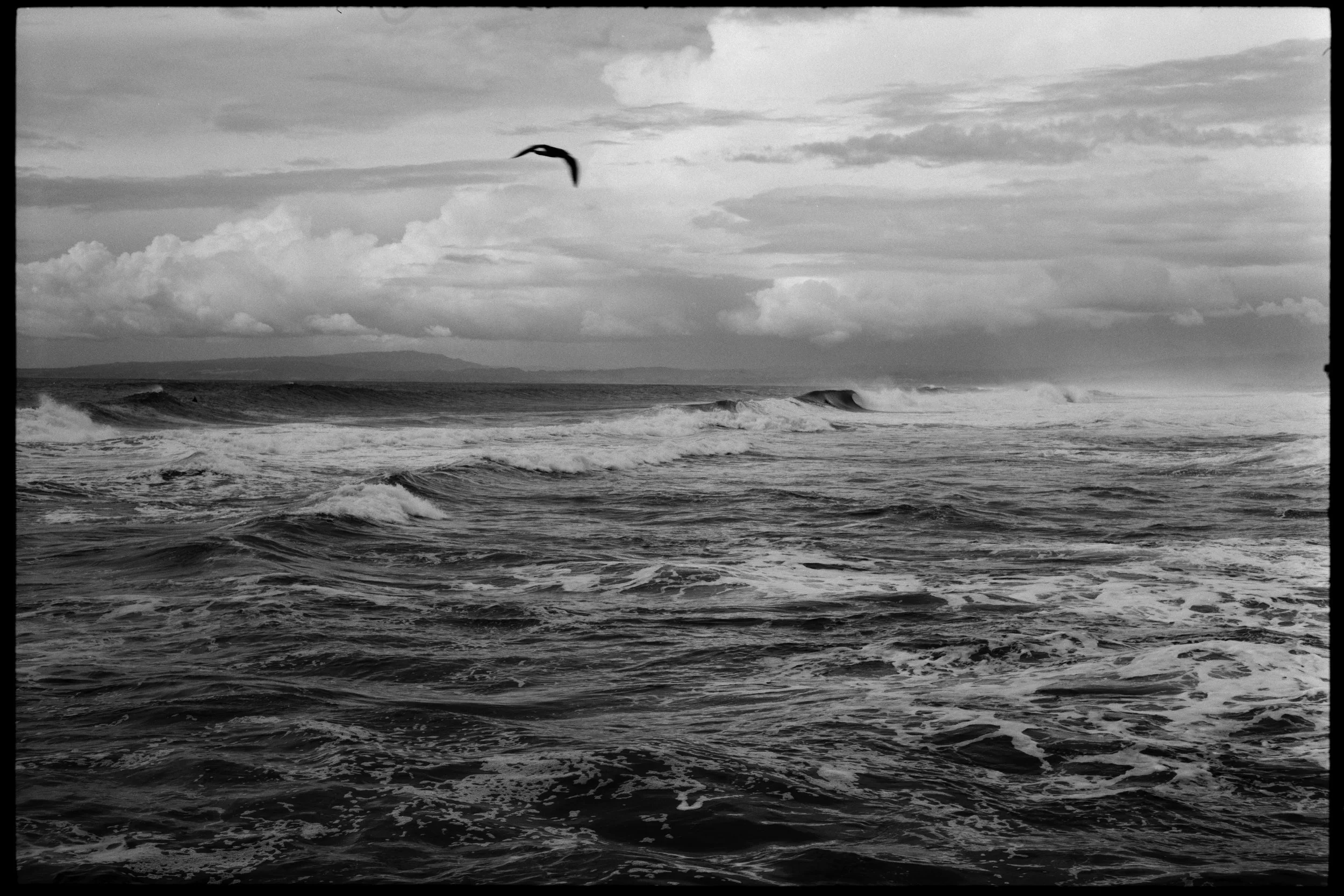 Black-and-white photograph of the ocean with waves and a bird flying above the water. Moss Landing Beach, Moss Landing, CA.
