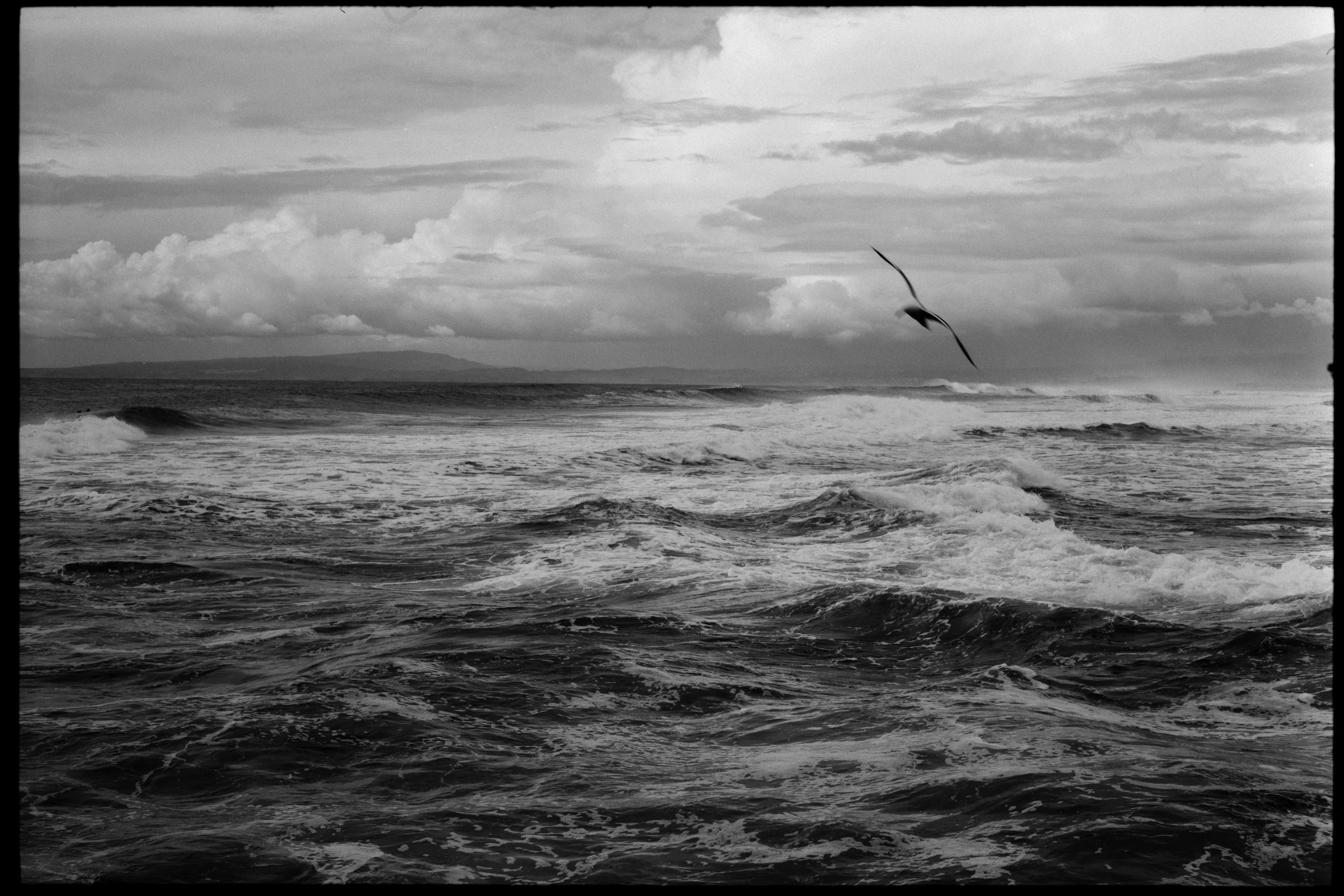 Black and white photograph of an ocean scene with waves and a bird flying in the sky. Moss Landing Beach, Moss Landing, CA.