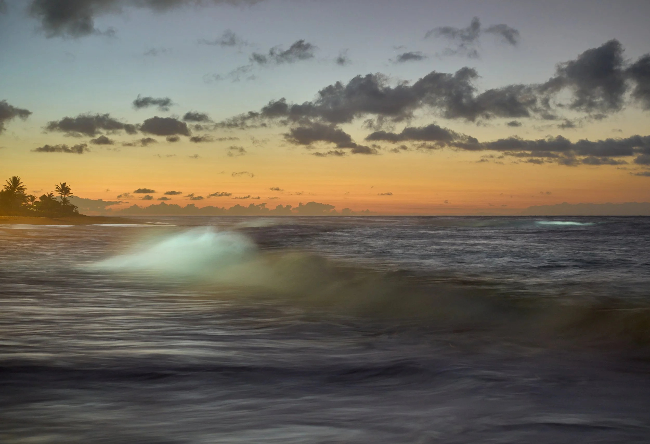 A sunrise over Sandy Beach, Oahu, HI, with a few scattered clouds and silhouettes of palm trees on the shoreline.
