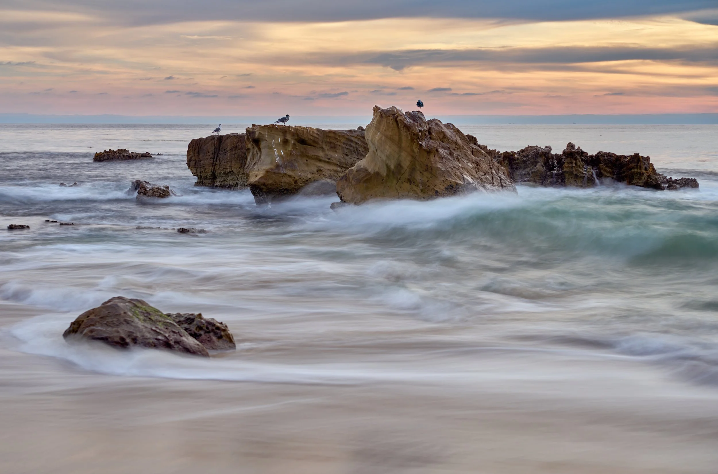 Seascape with large rocks and seagulls perched on them, waves gently crashing with a pastel sunset sky in the background. Picnic Grove, Laguna Beach, CA.