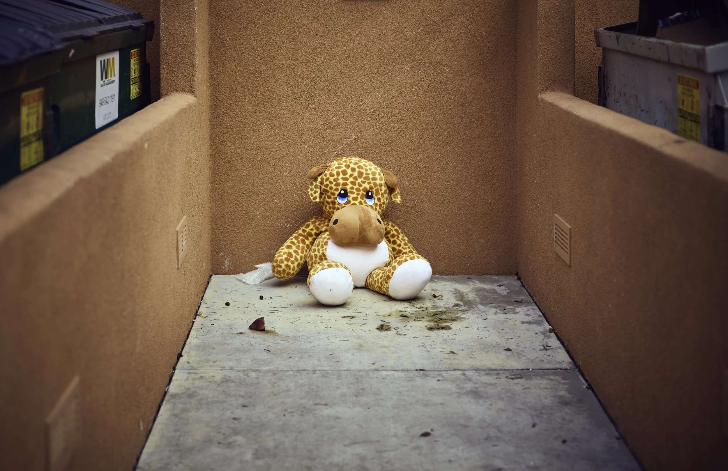 A large stuffed giraffe toy with big blue eyes sitting against a peach-colored wall in a small outdoor area, with trash bins on either side and some debris on the ground.