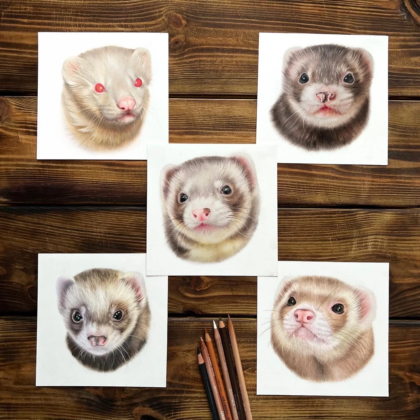 E56C295A-840F-43BF-823D-BD4FF2E29B13 (1).JPG