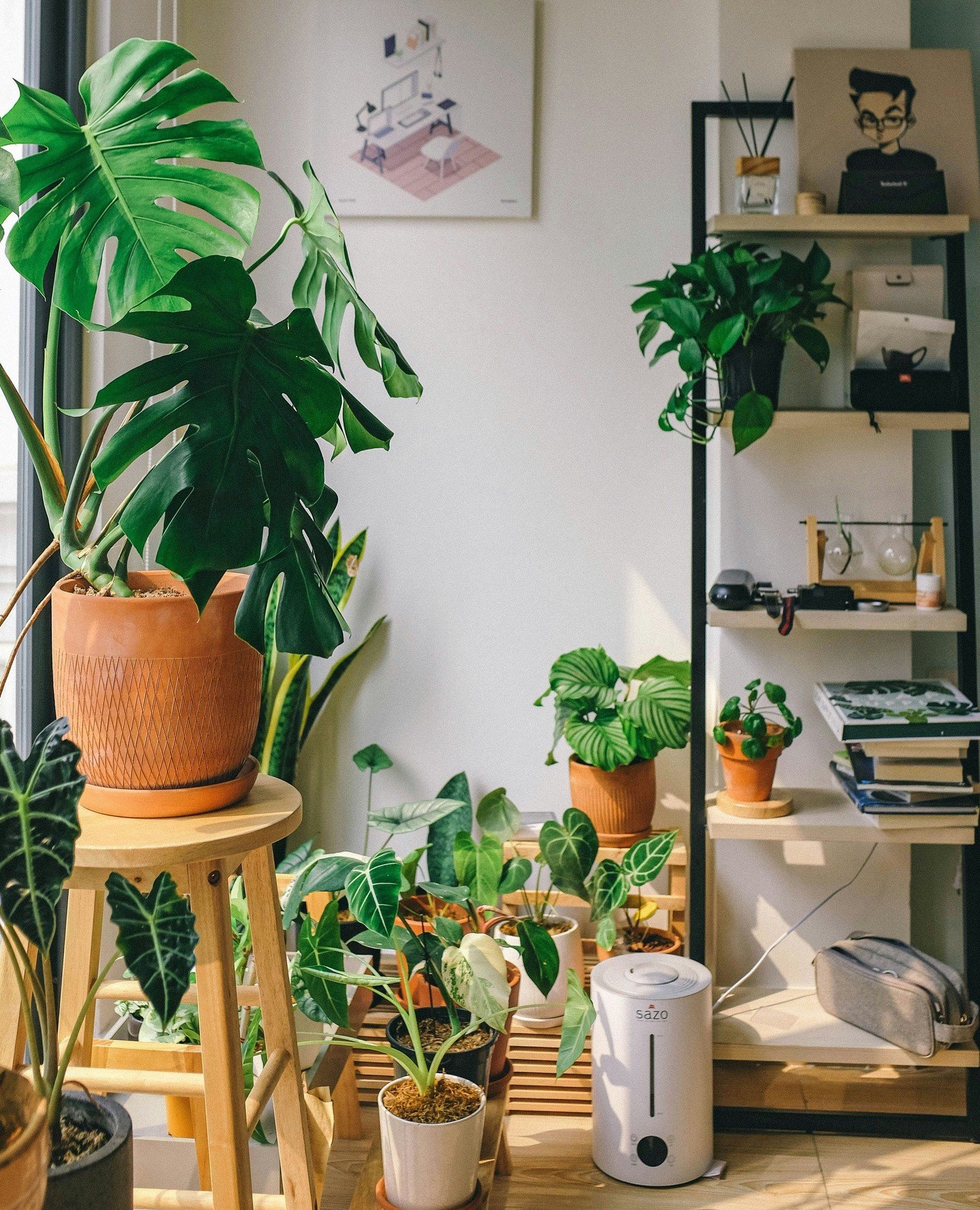 Having a few indoor plants around the house is never a bad idea. Not only do they improve your mood, but they also look great, add personality to your space, and give you something to care for. In the latest @melbournebaycourier, we share some tips o