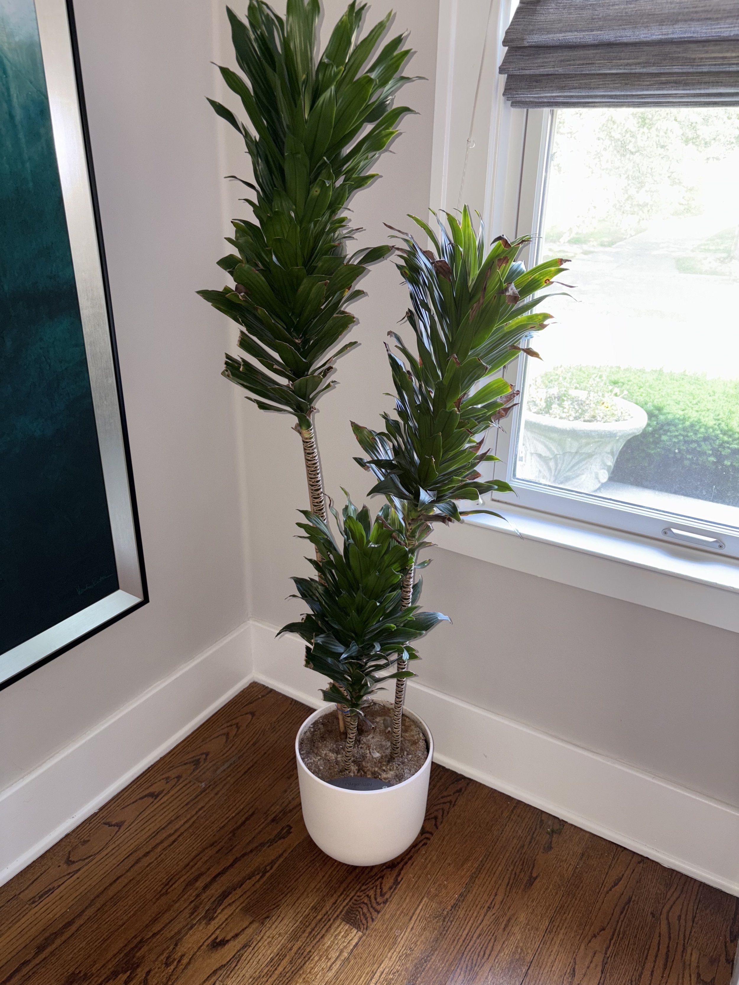 94416B9D-2E3F-4F4A-B7B9-1F3C4BCAA01E.jpeg
