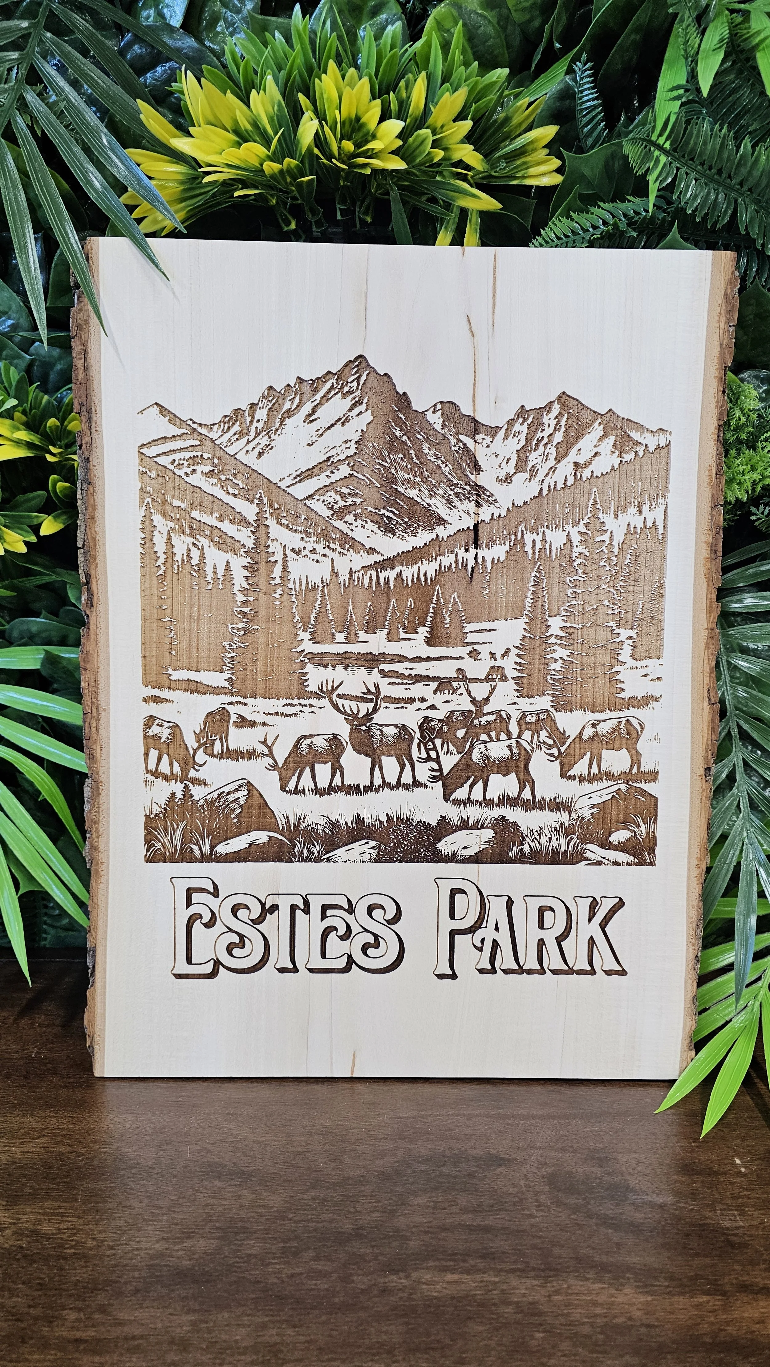 Estes Park Wall Art
