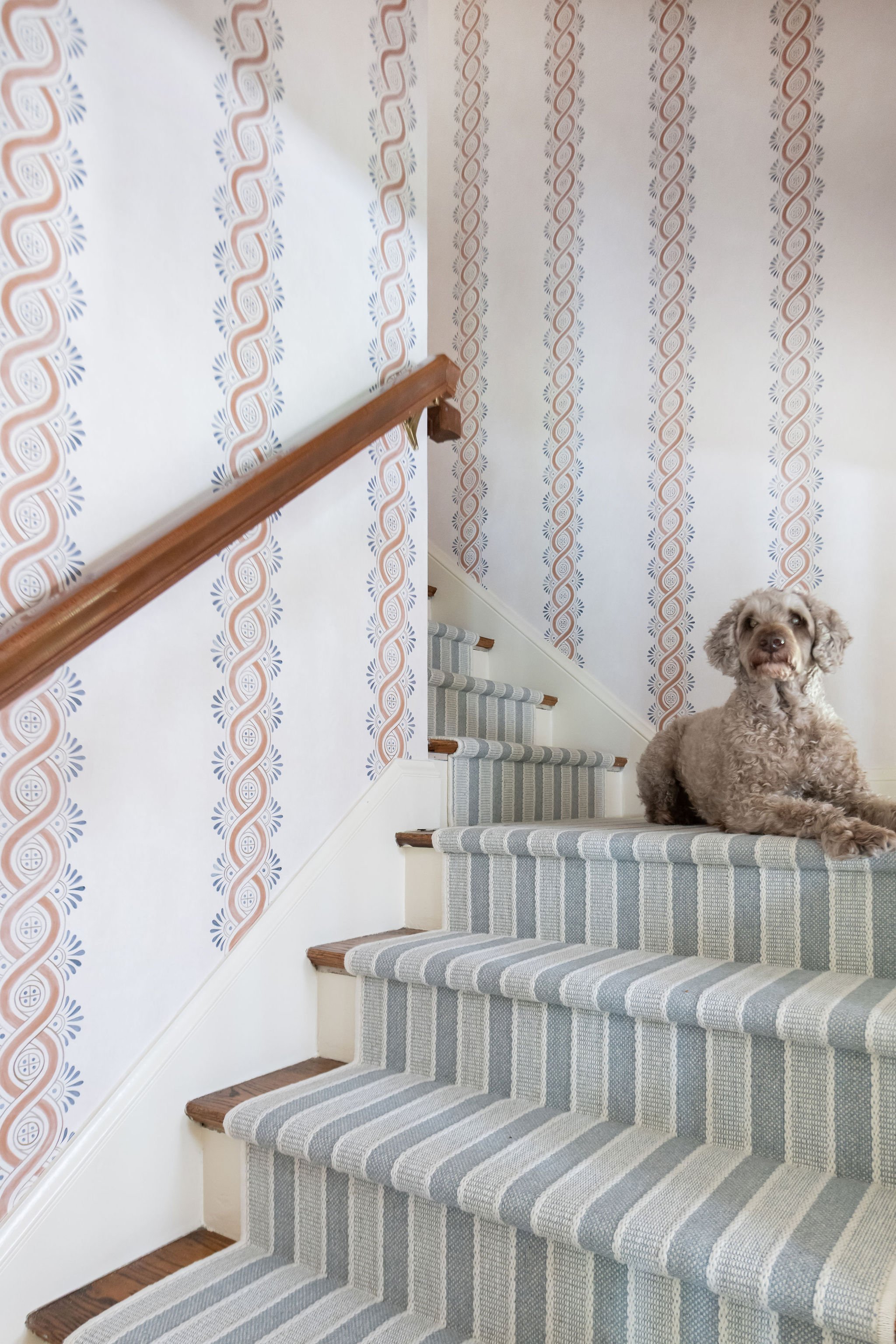 AndersonDesignGroup_Collins_16.jpg